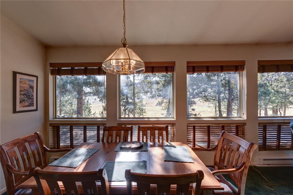 2315 Singletree Road Hartsel, CO 80449 - Photo 10 of 30 a view of a dining room with furniture large windows and wooden floor