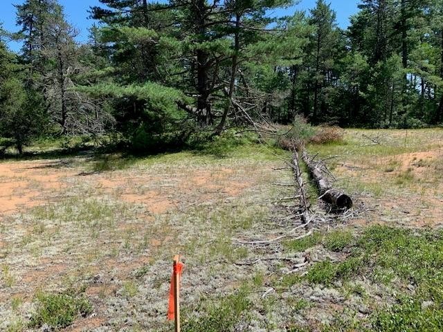 0 North Whitefish Point Road Paradise, MI 49768 - Photo 5 of 9 Gallery Image 5