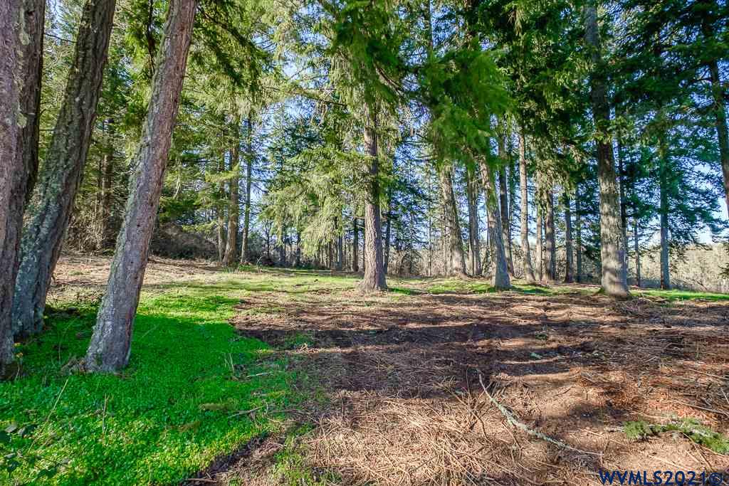 32068 Bellinger Scale Road Lebanon, OR 97355 - Photo 10 of 14