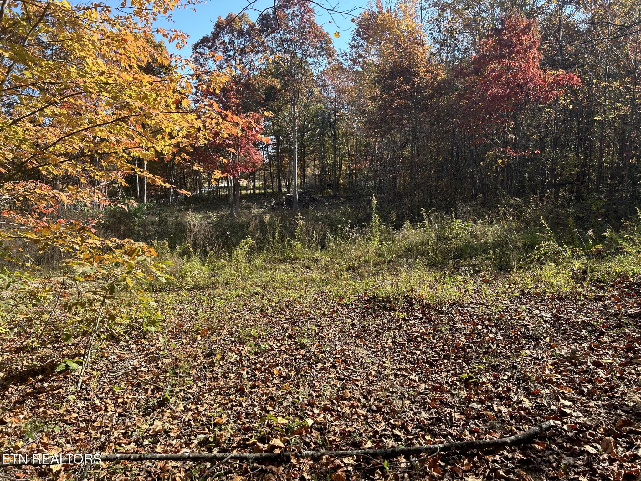1665 Hollis Poore Road Jamestown, TN 38556 - Photo 2 of 5 Gallery Image 2