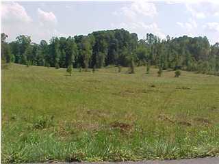 11 Pone Valley Road Georgetown, TN 37336 - Photo 1 of 3 Primary Photo