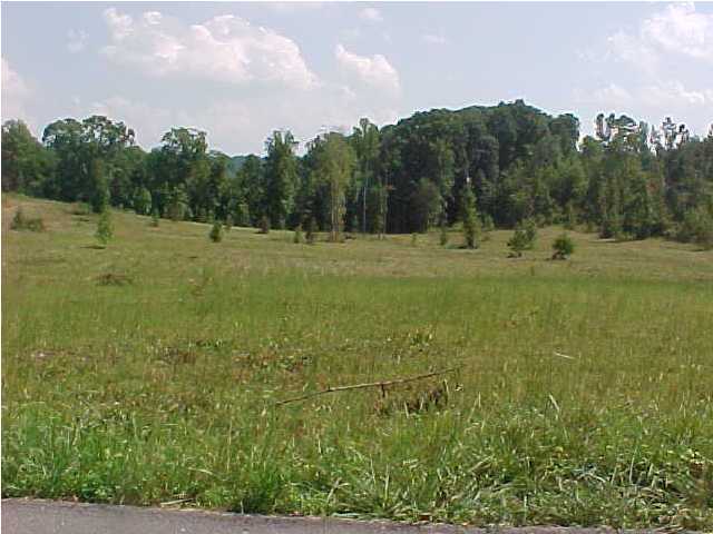 11 Pone Valley Road Georgetown, TN 37336 - Photo 2 of 3 Additional Photo