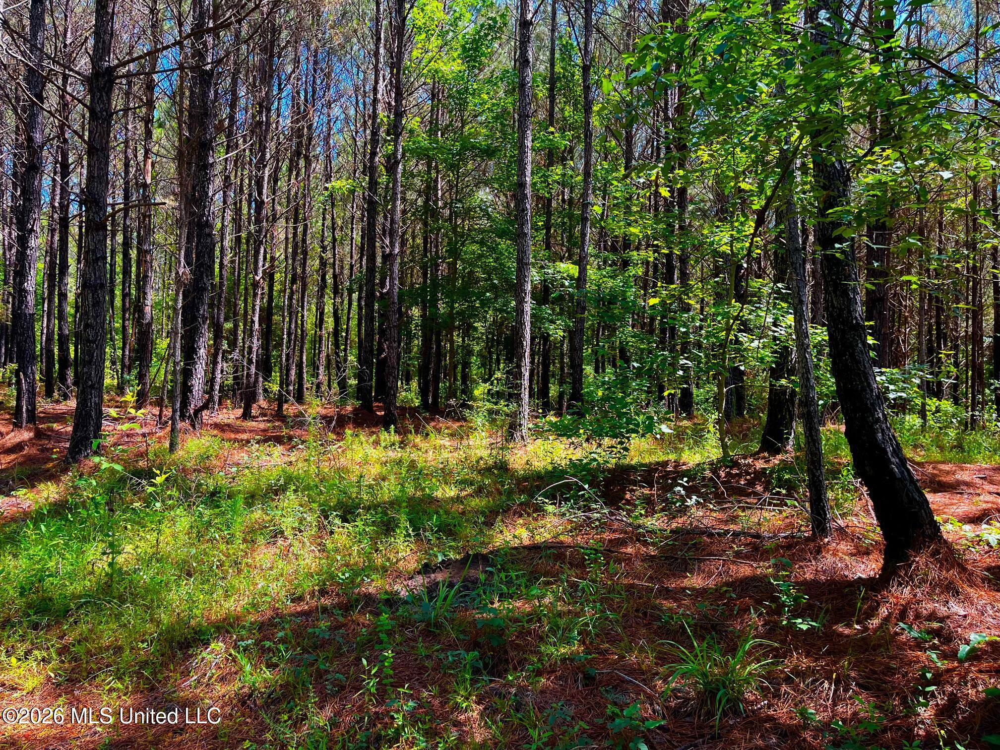 Arthur Drive Brookhaven, MS 39601 - Photo 6 of 20 ar4