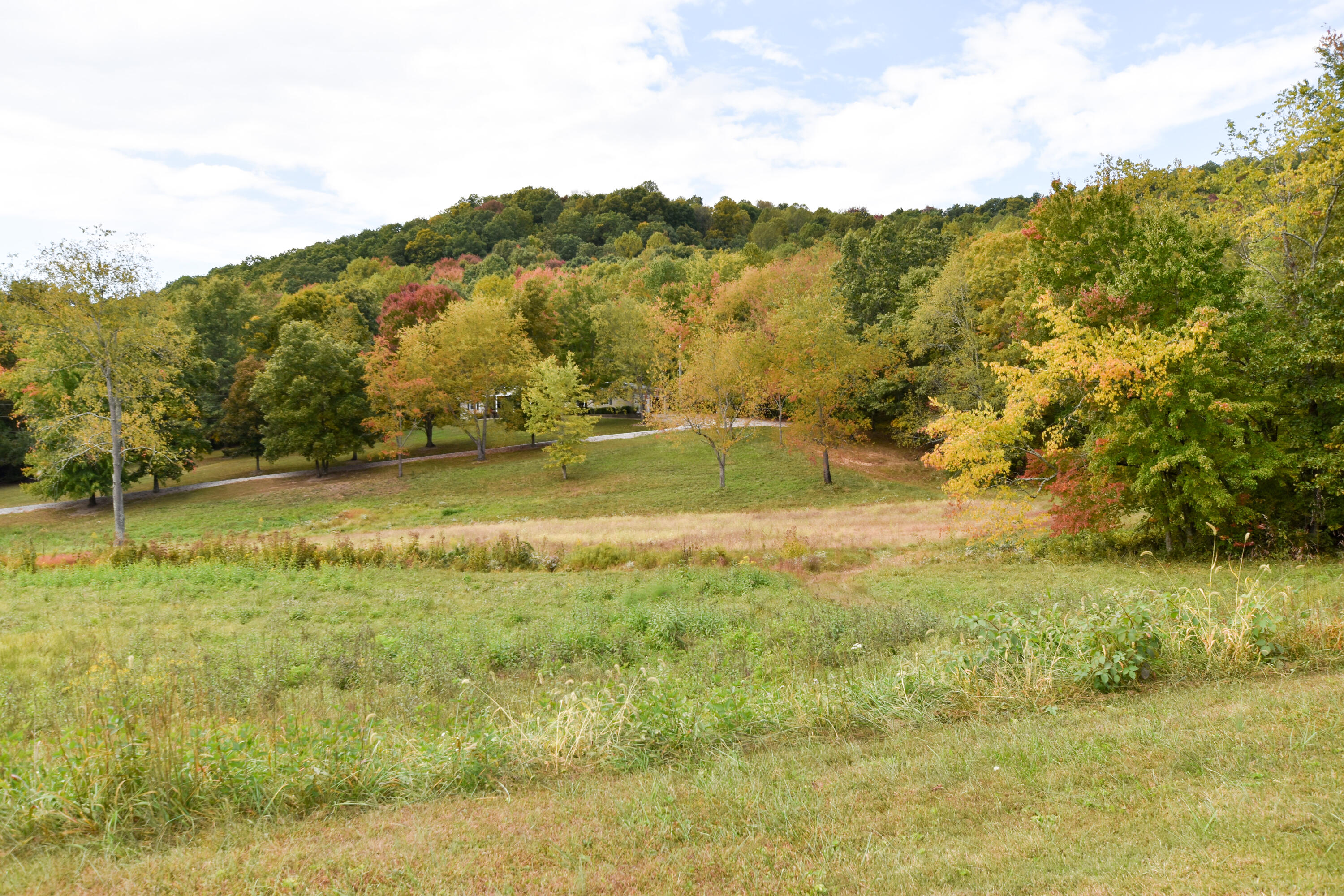 2390 Beechy Creek Road Wallingford, KY 41093 - Photo 85 of 89 DSC_0147