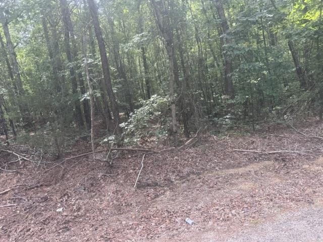 4 Hardin Graveyard Road Enville, TN 38332 - Photo 18 of 29