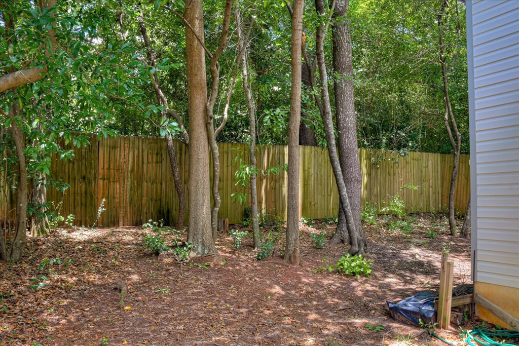 142 Charleston Row Boulevard Aiken, SC 29803 - Photo 22 of 22 Backyard