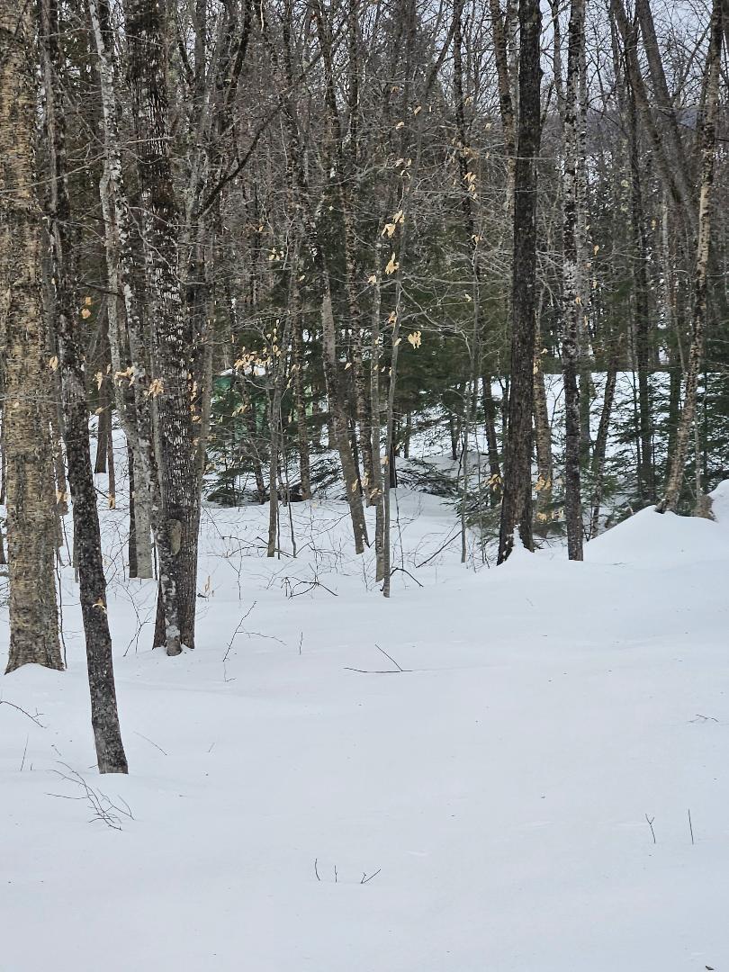 512 Pond Road St. Albans, ME 04971 - Photo 29 of 31 thumbnail - 2025-03-10T185002.106