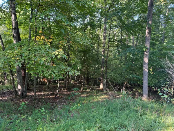 $399,950 | 2 Cedar Blf Lane, Hardy, VA 24101