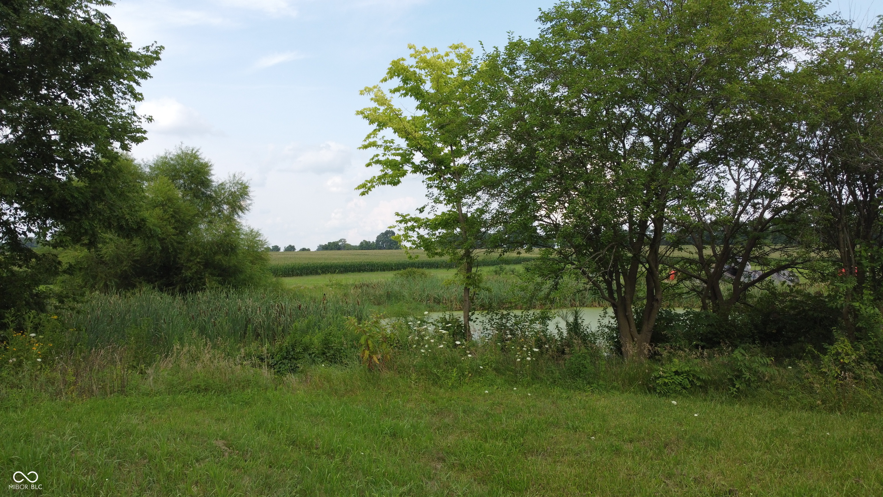 24995 Anthony Road Cicero, IN 46034 - Photo 5 of 8