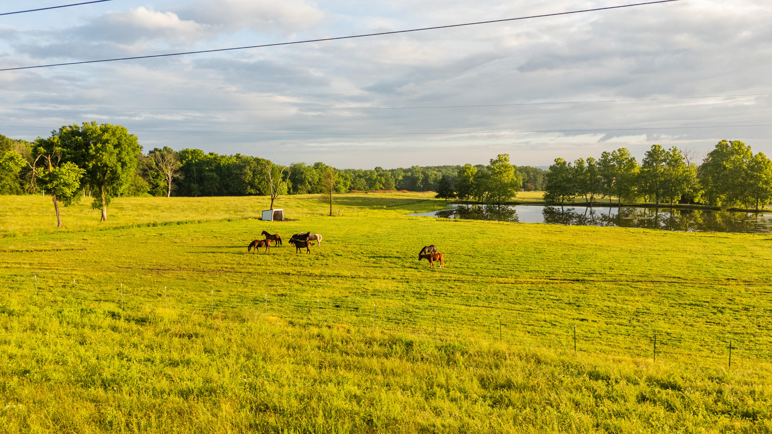 4373 South 165th Road Bolivar, MO 65613 - Photo 27 of 73 27