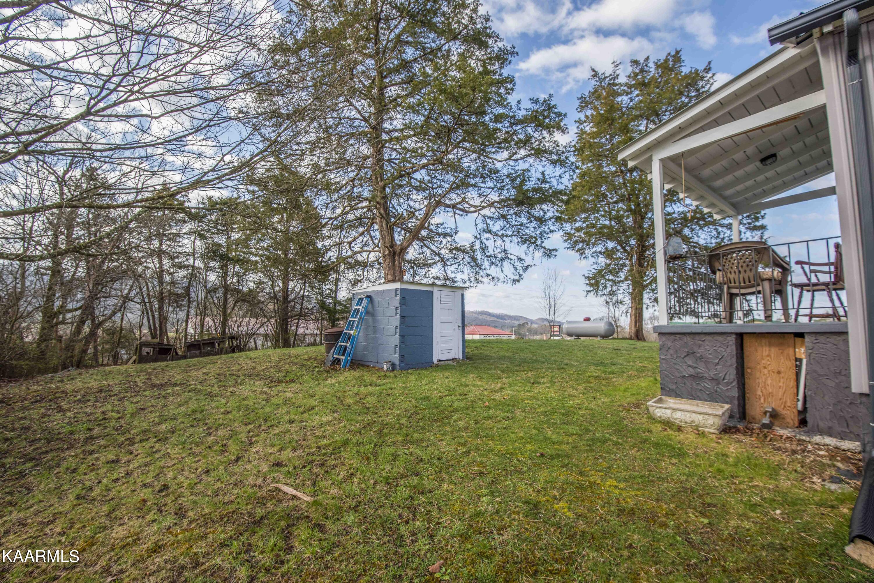 116 Spring Street Maynardville, TN 37807 - Photo 8 of 34 yard 6_1 (1)