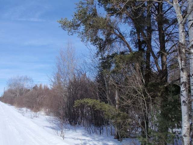 Near Adams Road Eagle River, WI 54521 - Photo 28 of 37 Gallery Image 28