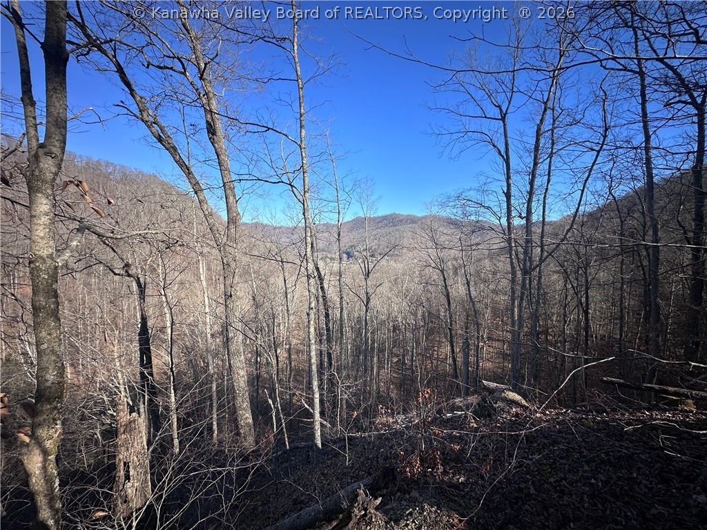 981 Powell Branch Road Danville, WV 25053 - Photo 47 of 50 Gallery Image 47