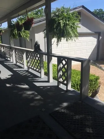 a door view with a potted plant