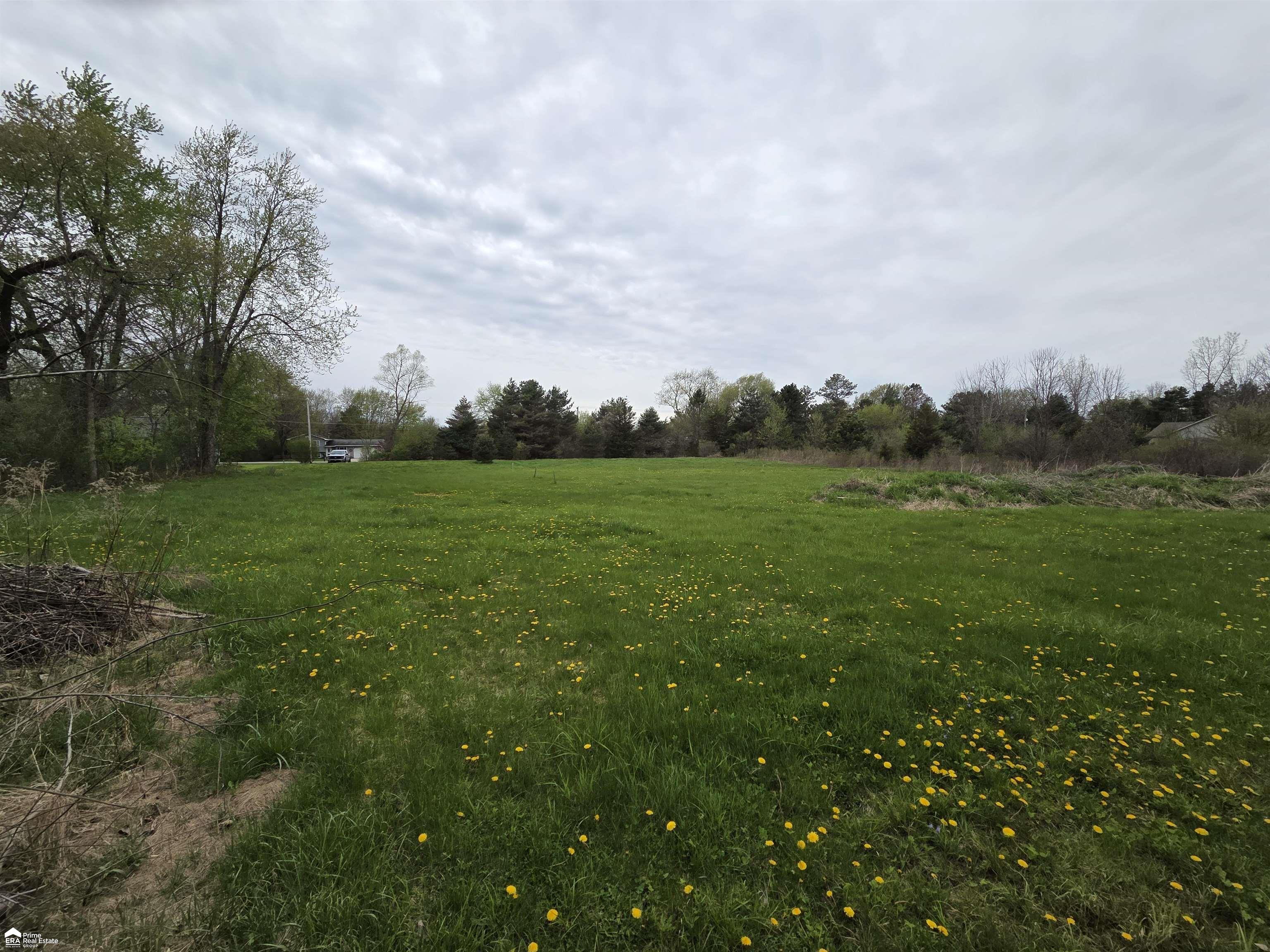 11144 North Lewis Road Clio, MI 48420 - Photo 4 of 5