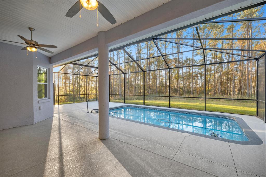 4892 Northwest 101st St Road Ocala, FL 34482 - Photo 8 of 41 Gallery Image 8