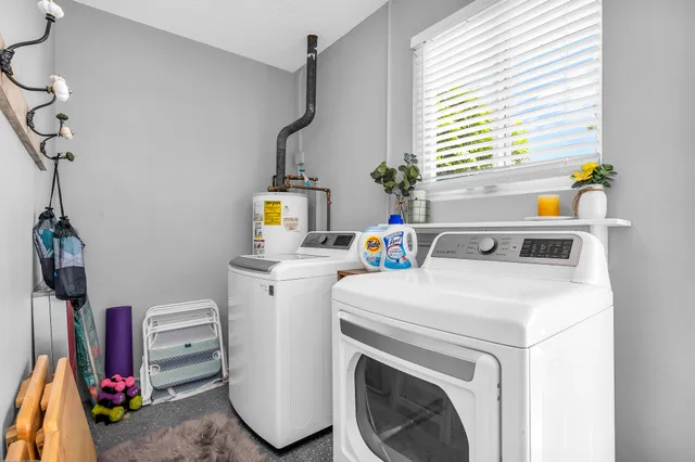 a view of a yard with tree s