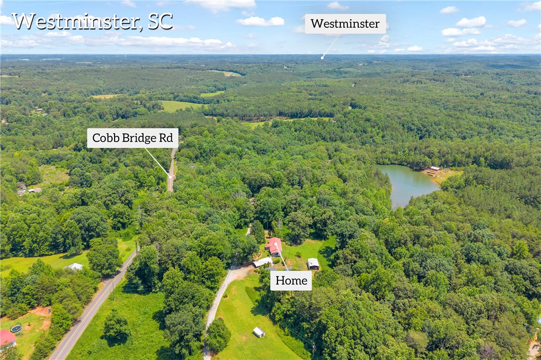 952 Stephens Drive Westminster, SC 29693 - Photo 6 of 50 A tranquil aerial