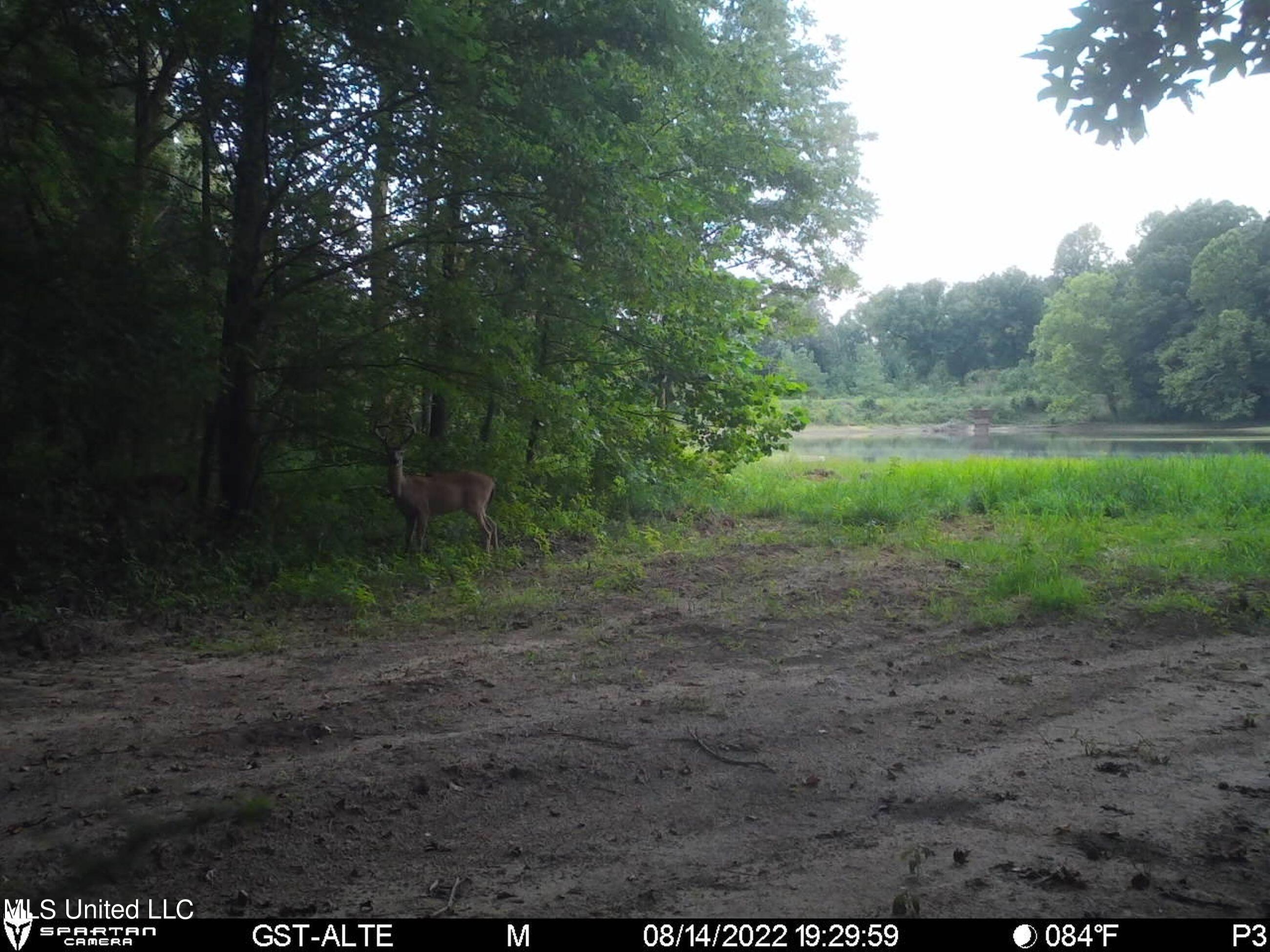 1242 A Rock Hill Road Como, MS 38619 - Photo 123 of 151 2.1yst10