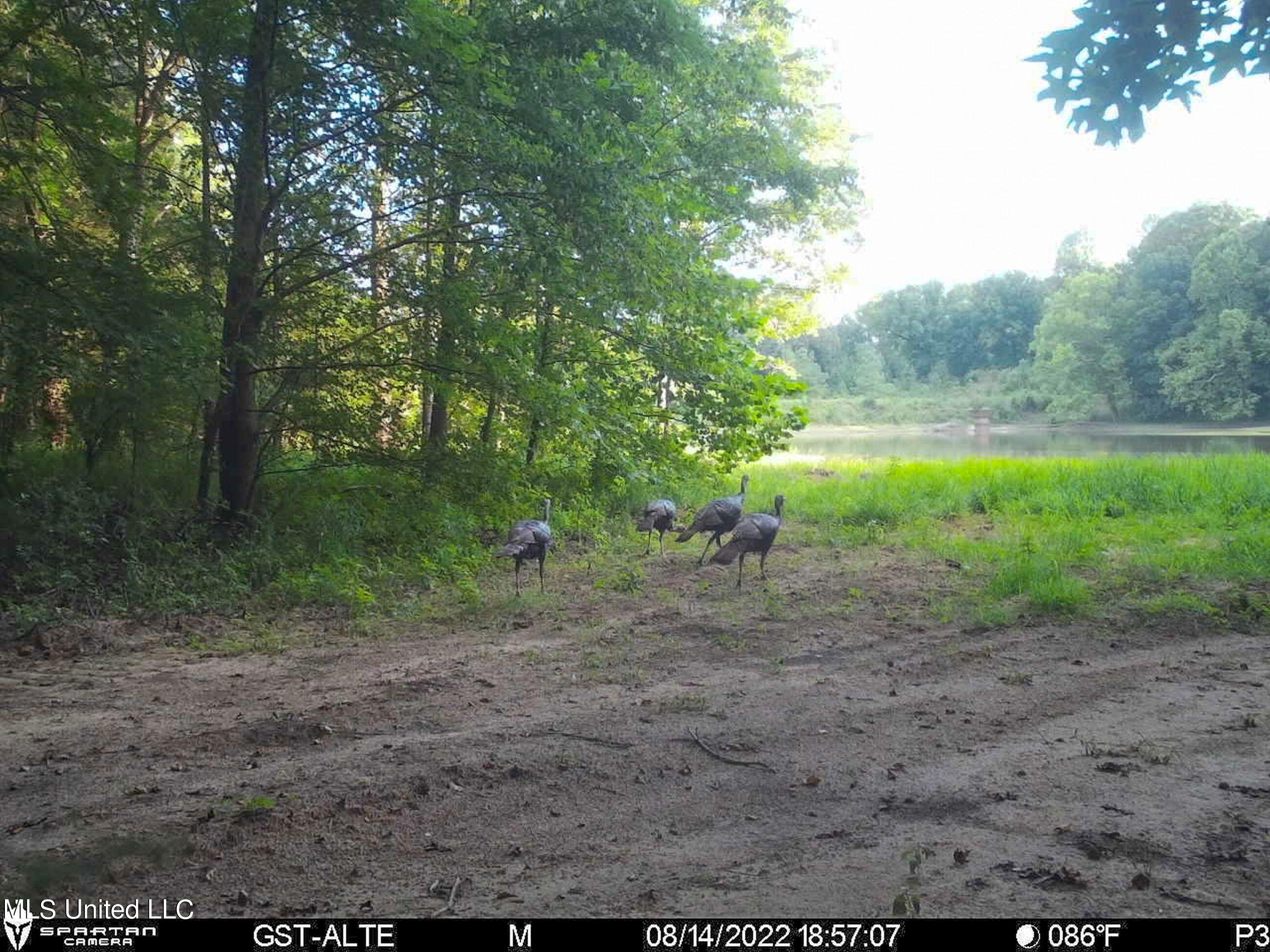 1242 A Rock Hill Road Como, MS 38619 - Photo 130 of 151 2.1yst17