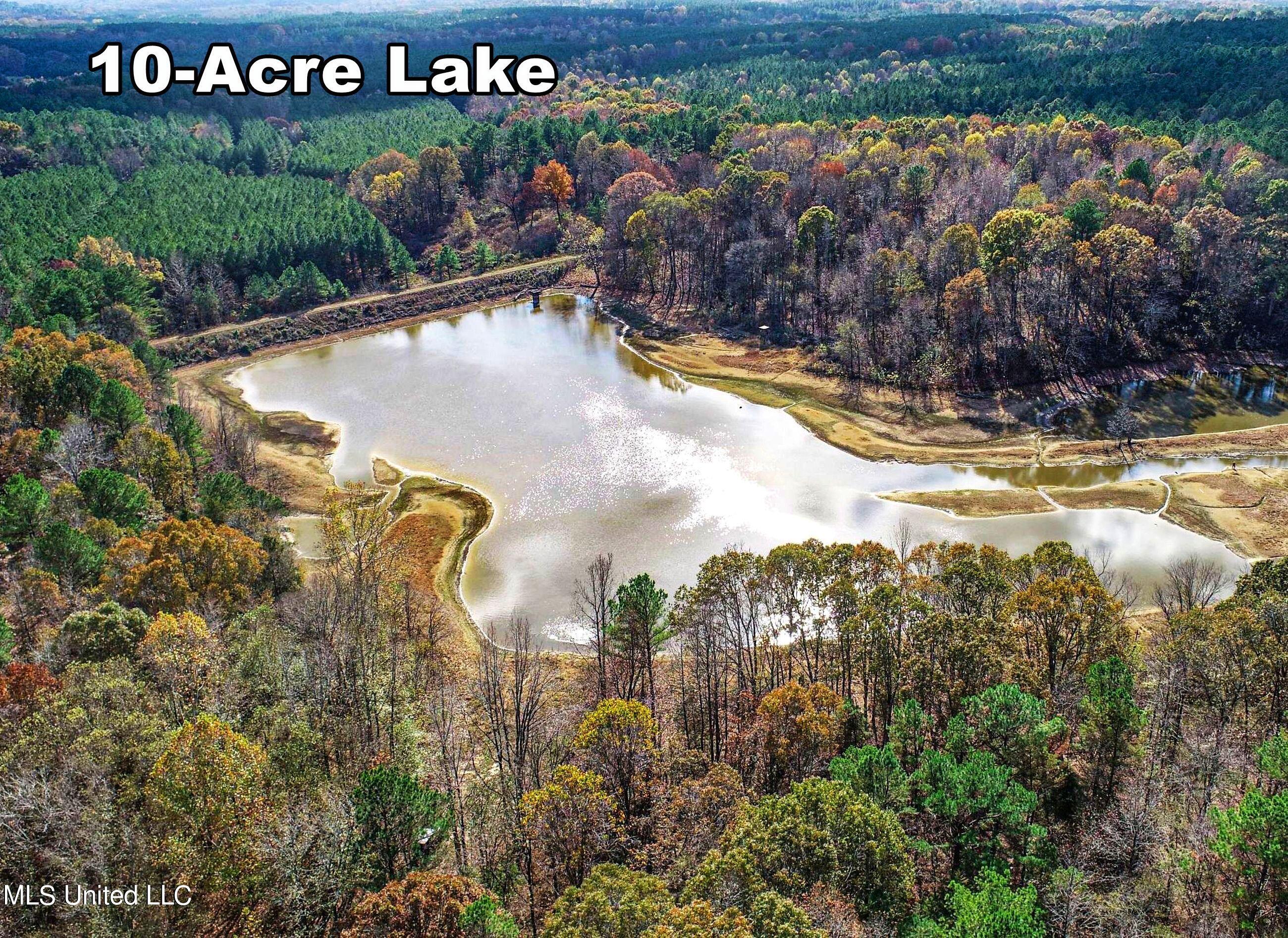 1242 A Rock Hill Road Como, MS 38619 - Photo 13 of 151 2yst5a