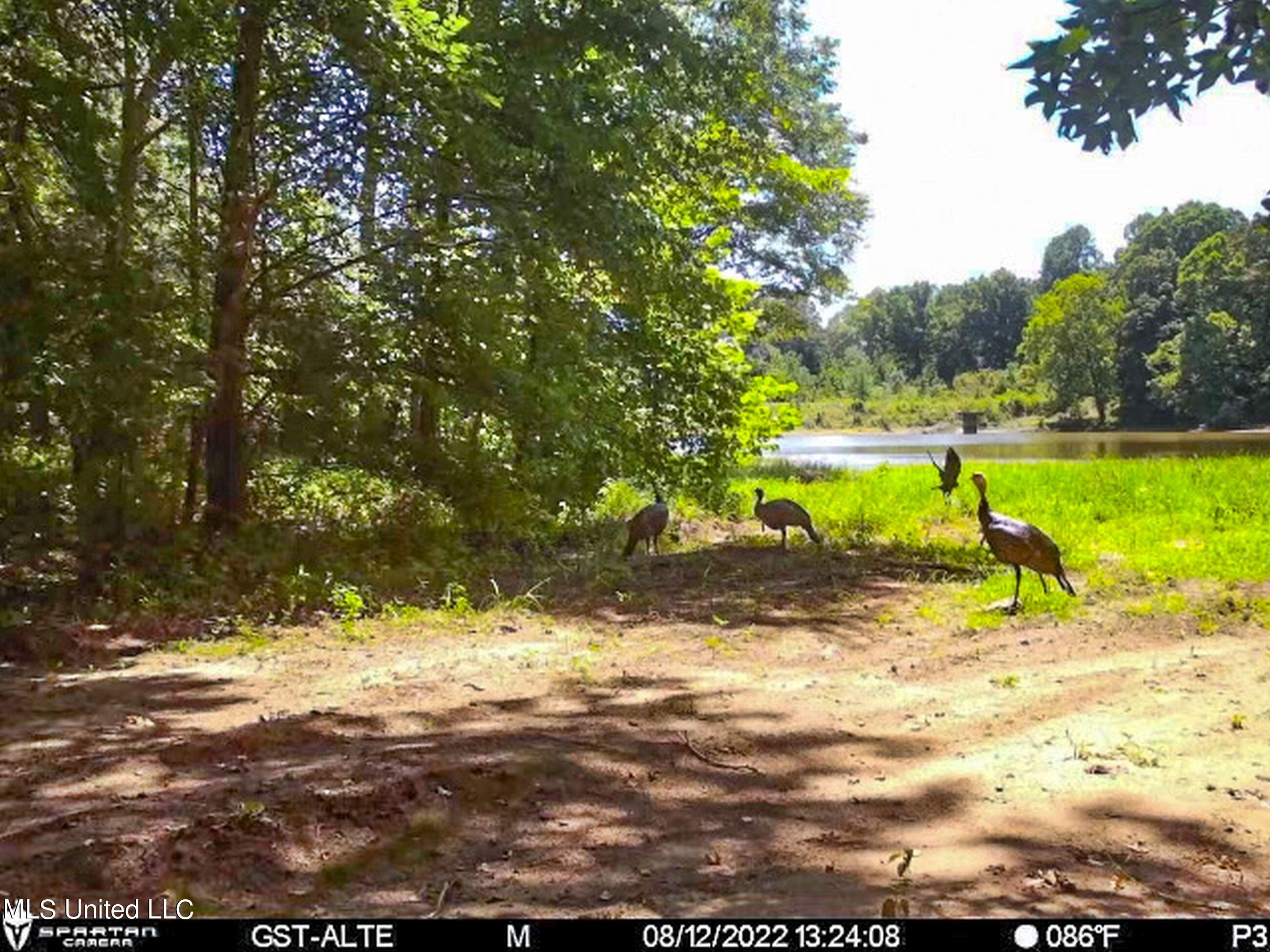 1242 A Rock Hill Road Como, MS 38619 - Photo 131 of 151 2.1yst18