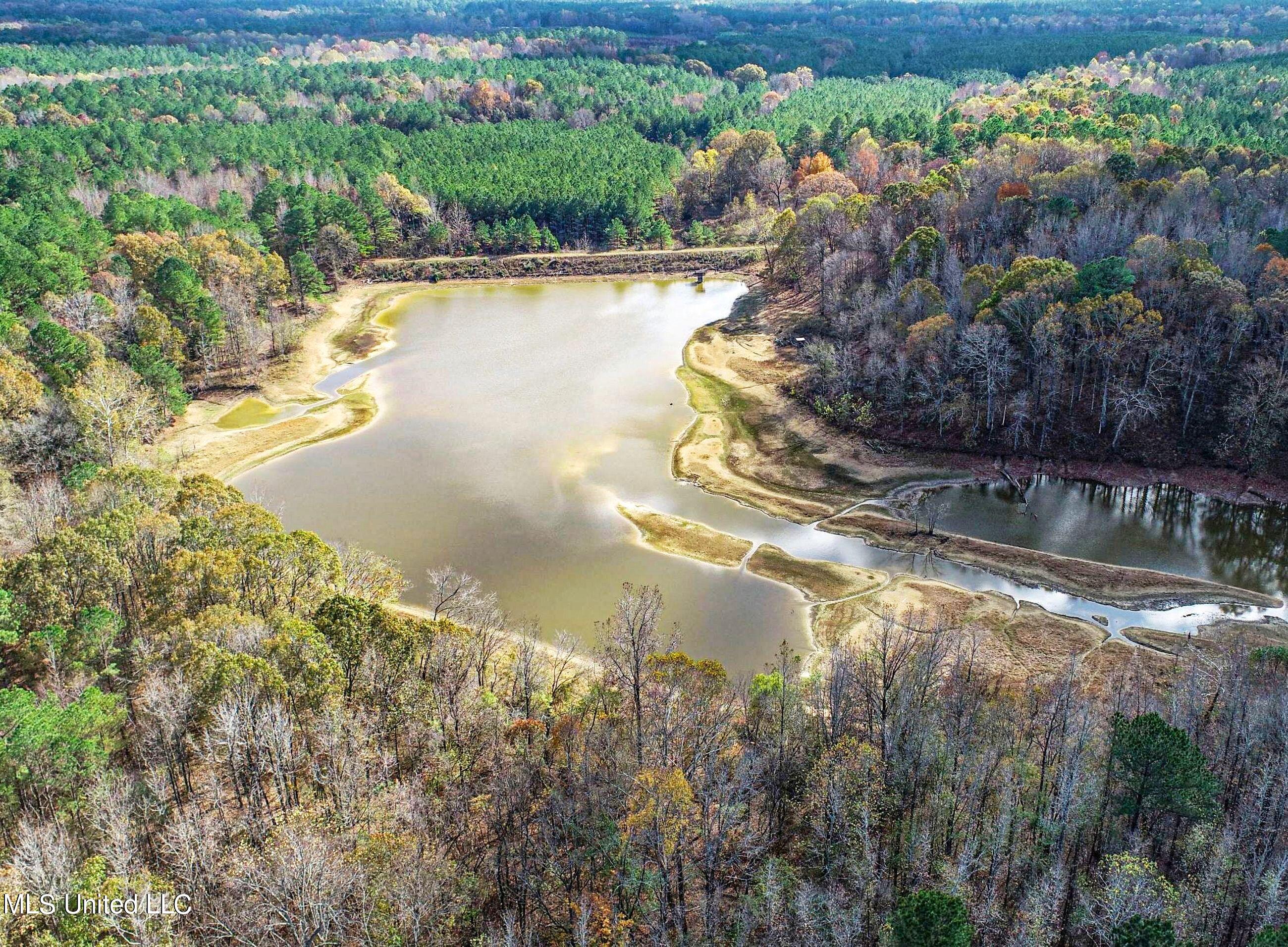 1242 A Rock Hill Road Como, MS 38619 - Photo 14 of 151 2yst6