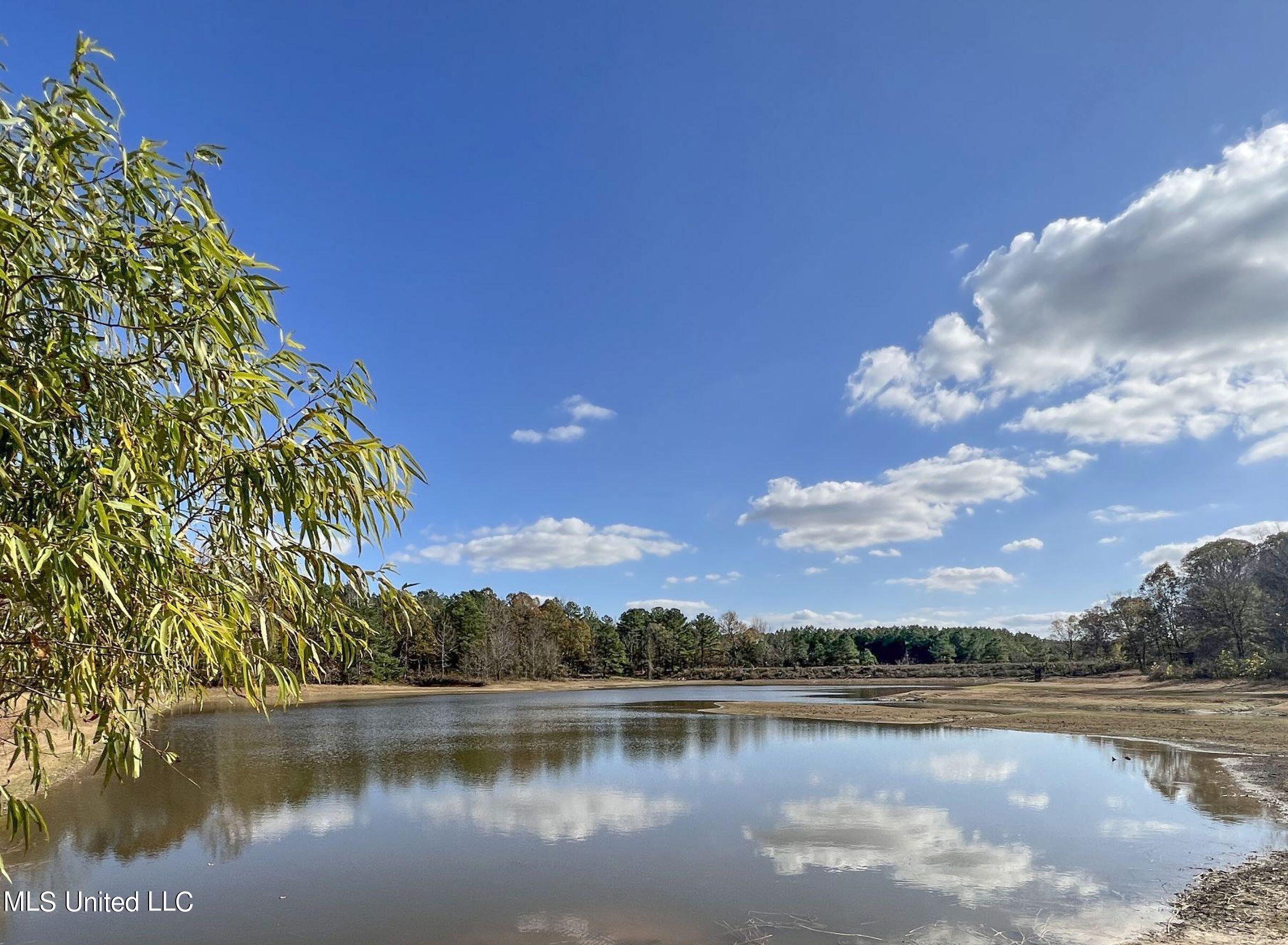 1242 A Rock Hill Road Como, MS 38619 - Photo 17 of 151 yst18