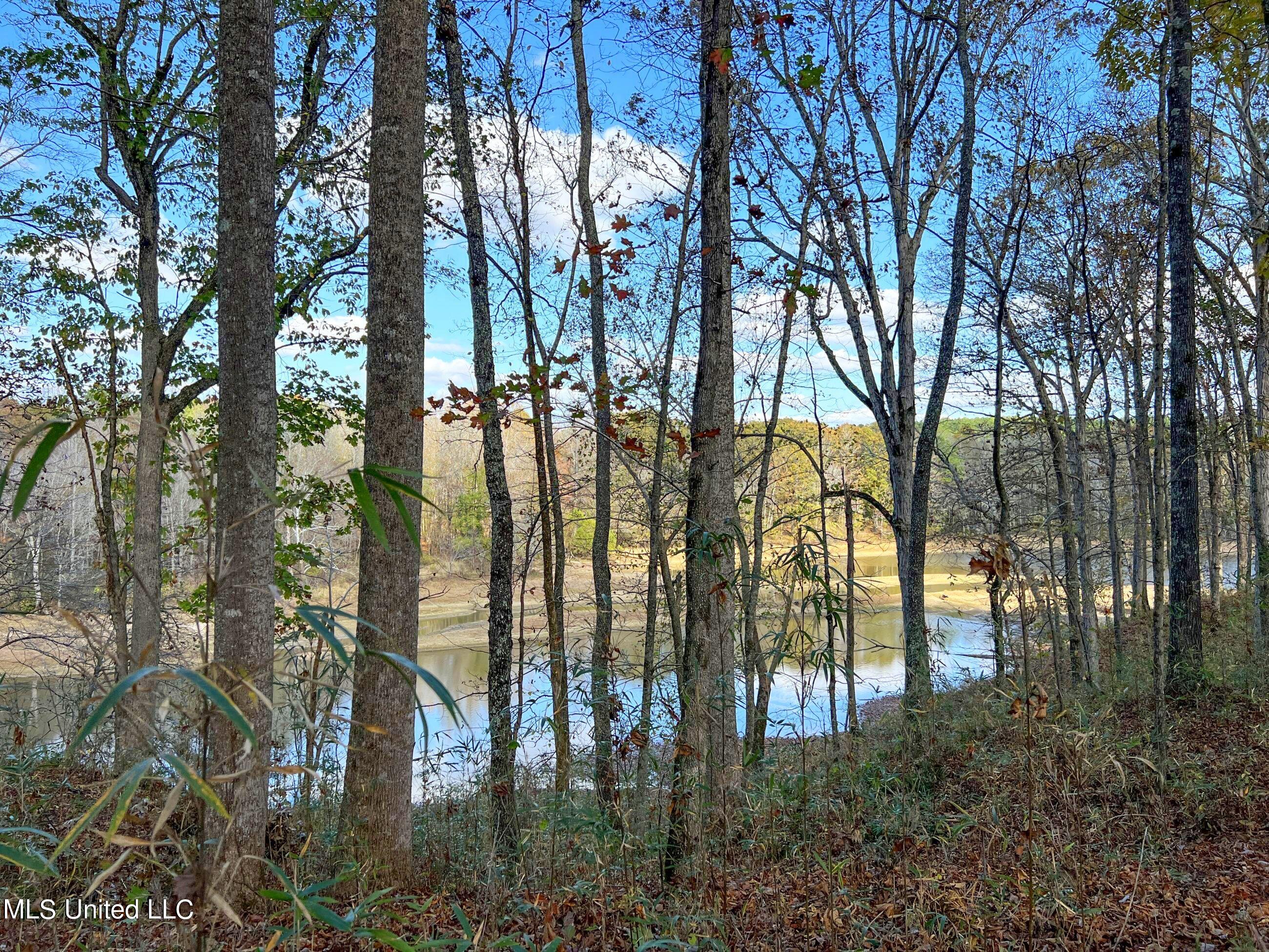 1242 A Rock Hill Road Como, MS 38619 - Photo 19 of 151 yst26