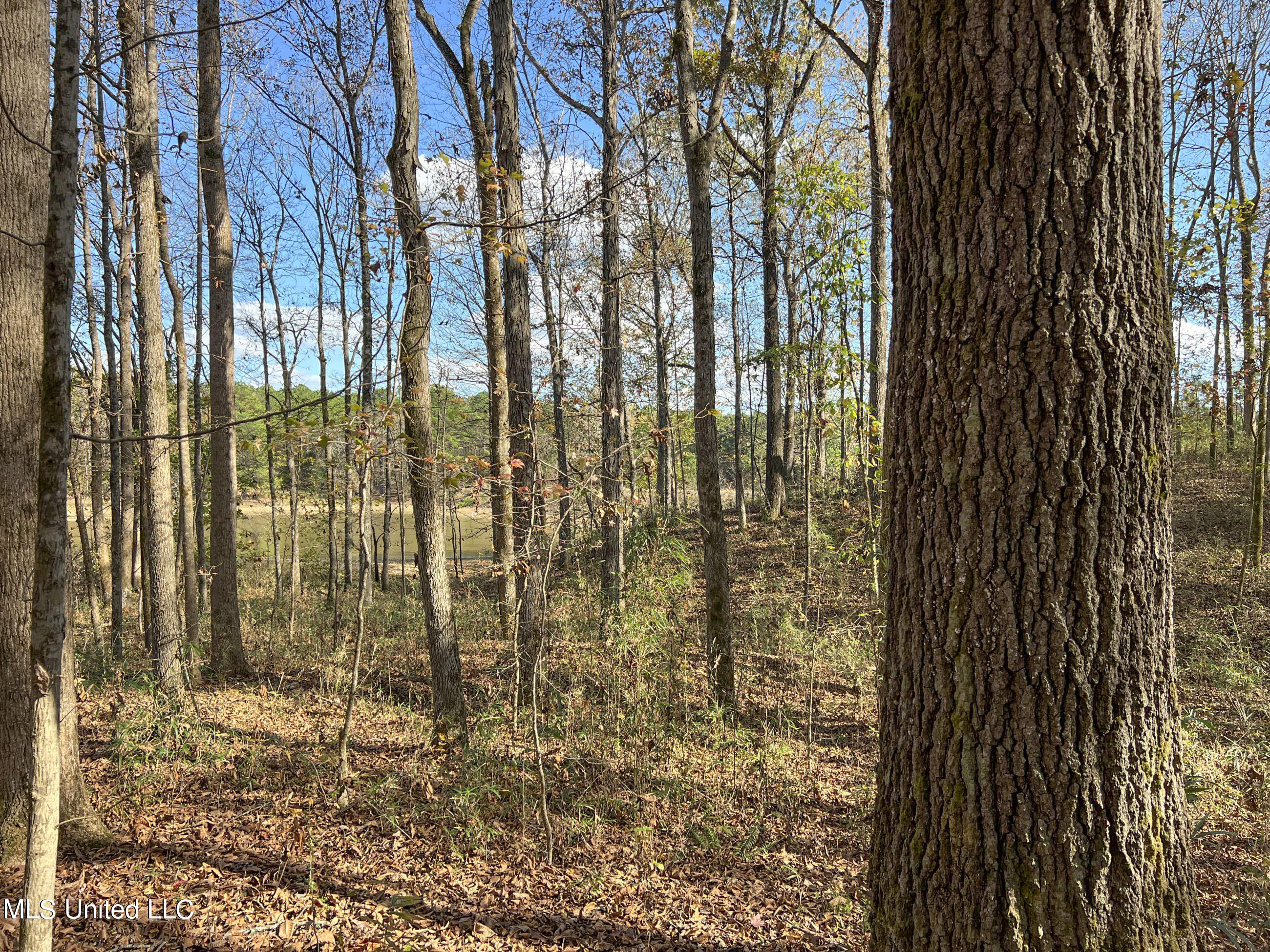 1242 A Rock Hill Road Como, MS 38619 - Photo 20 of 151 yst32