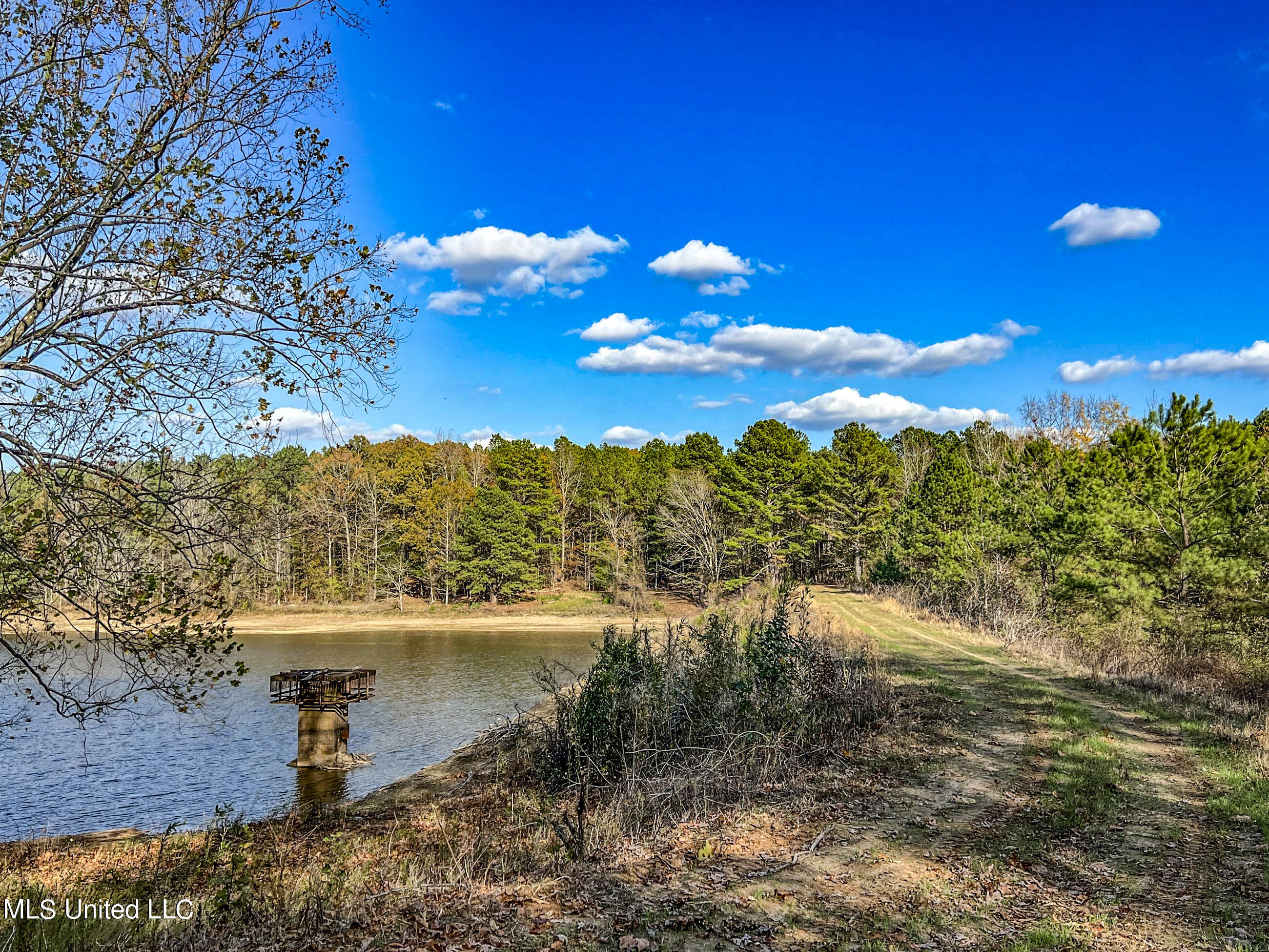 1242 A Rock Hill Road Como, MS 38619 - Photo 21 of 151 yst117