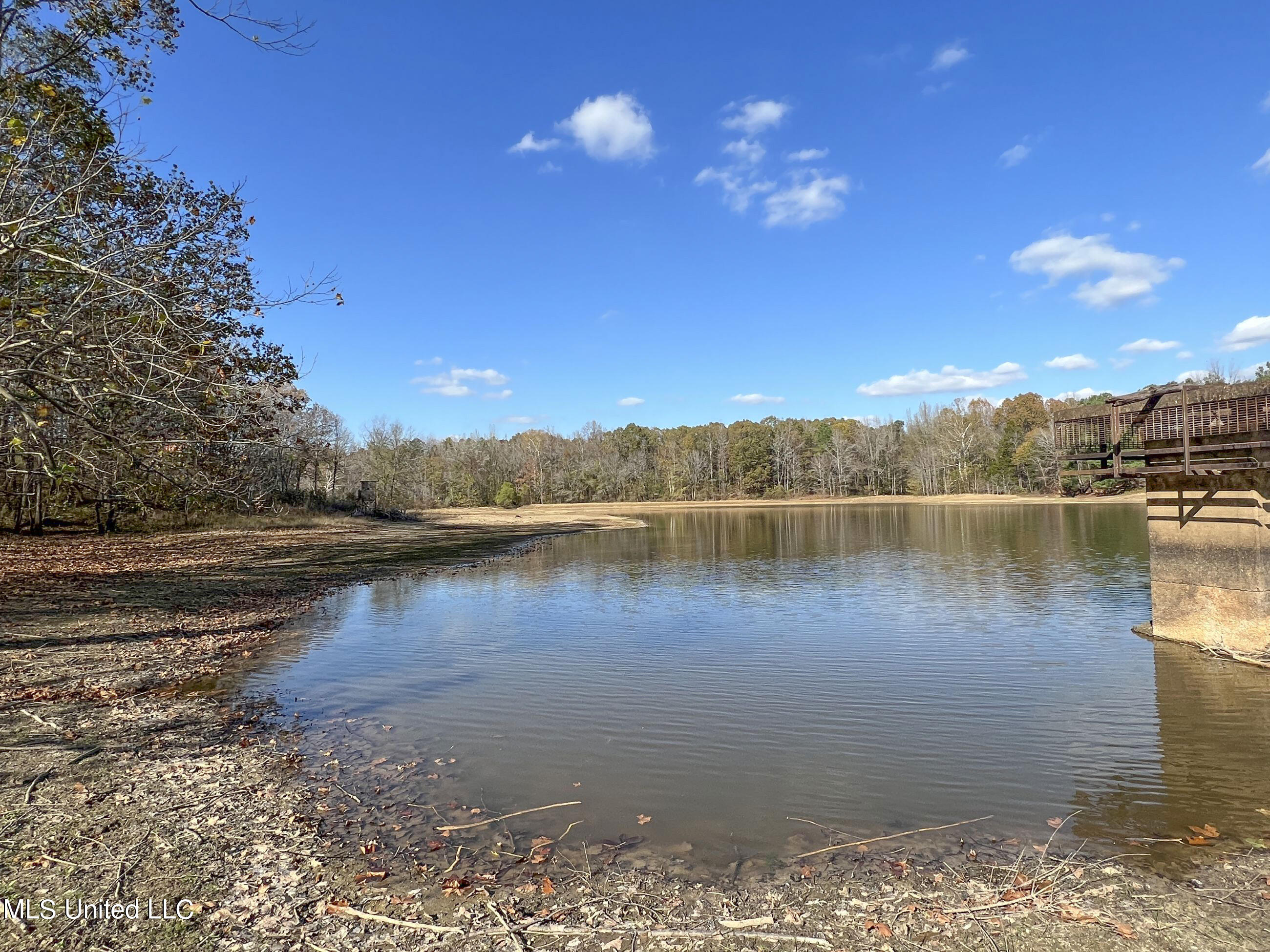 1242 A Rock Hill Road Como, MS 38619 - Photo 22 of 151 yst36