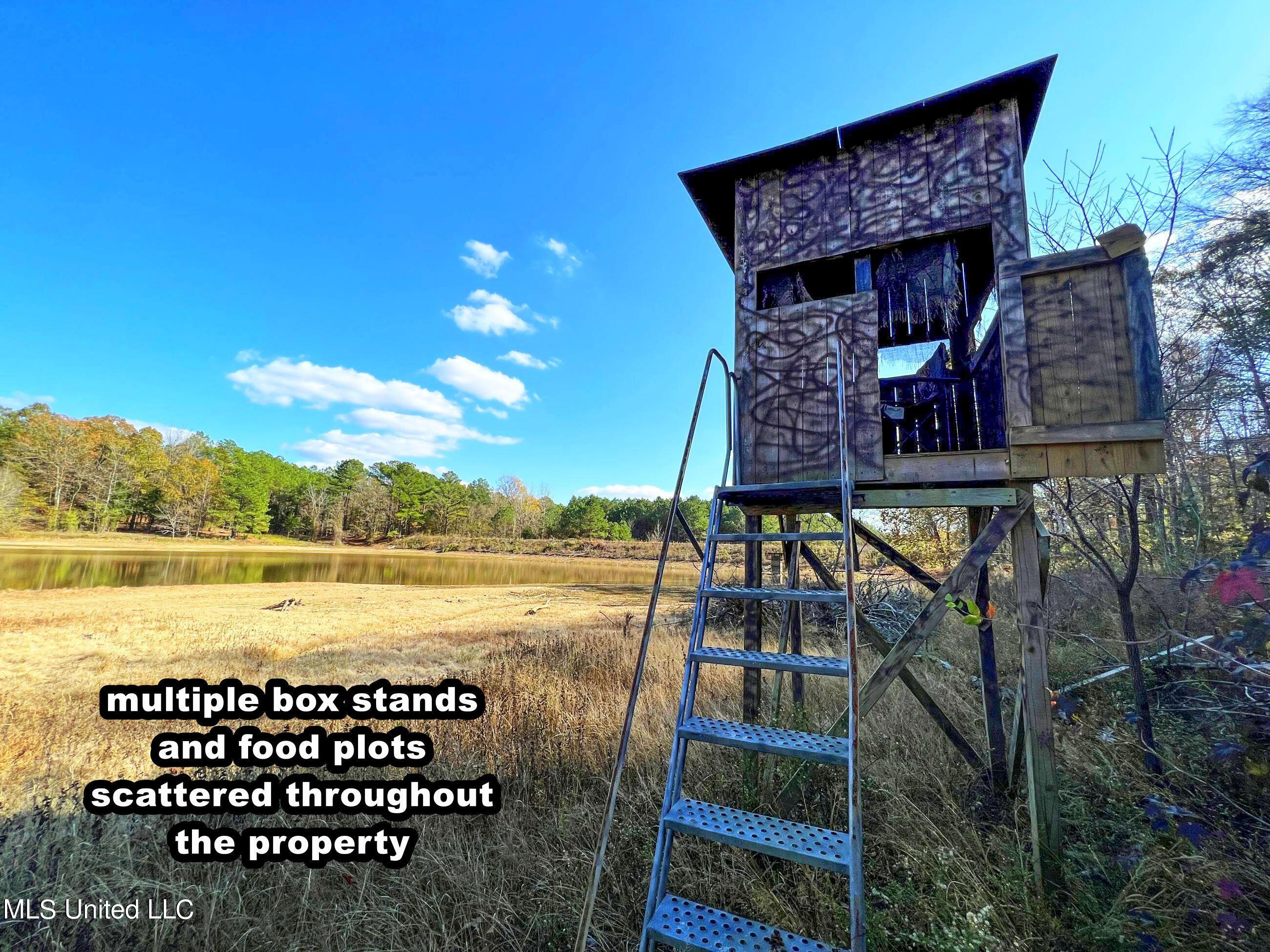 1242 A Rock Hill Road Como, MS 38619 - Photo 24 of 151 yst38a