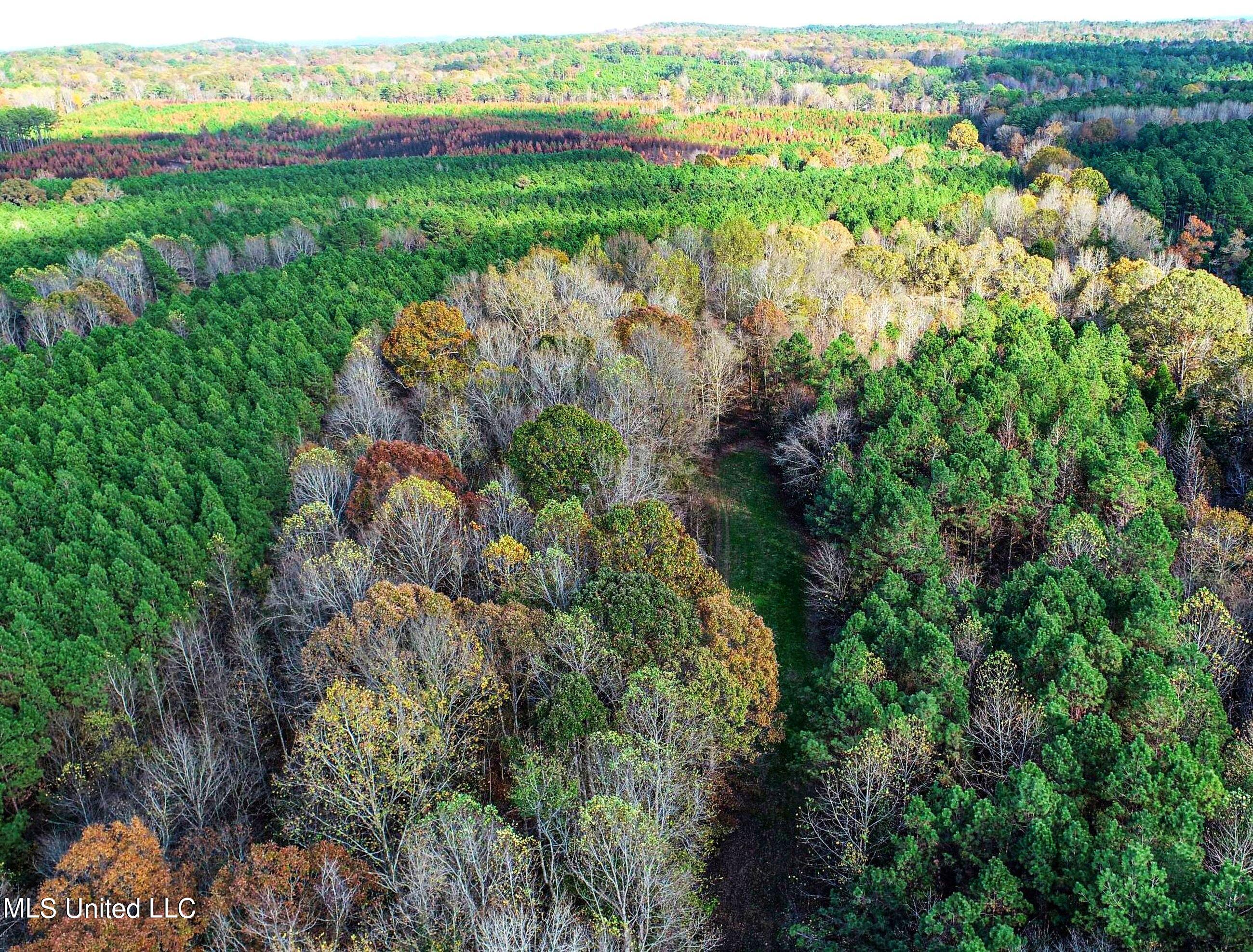 1242 A Rock Hill Road Como, MS 38619 - Photo 28 of 151 yst82.1