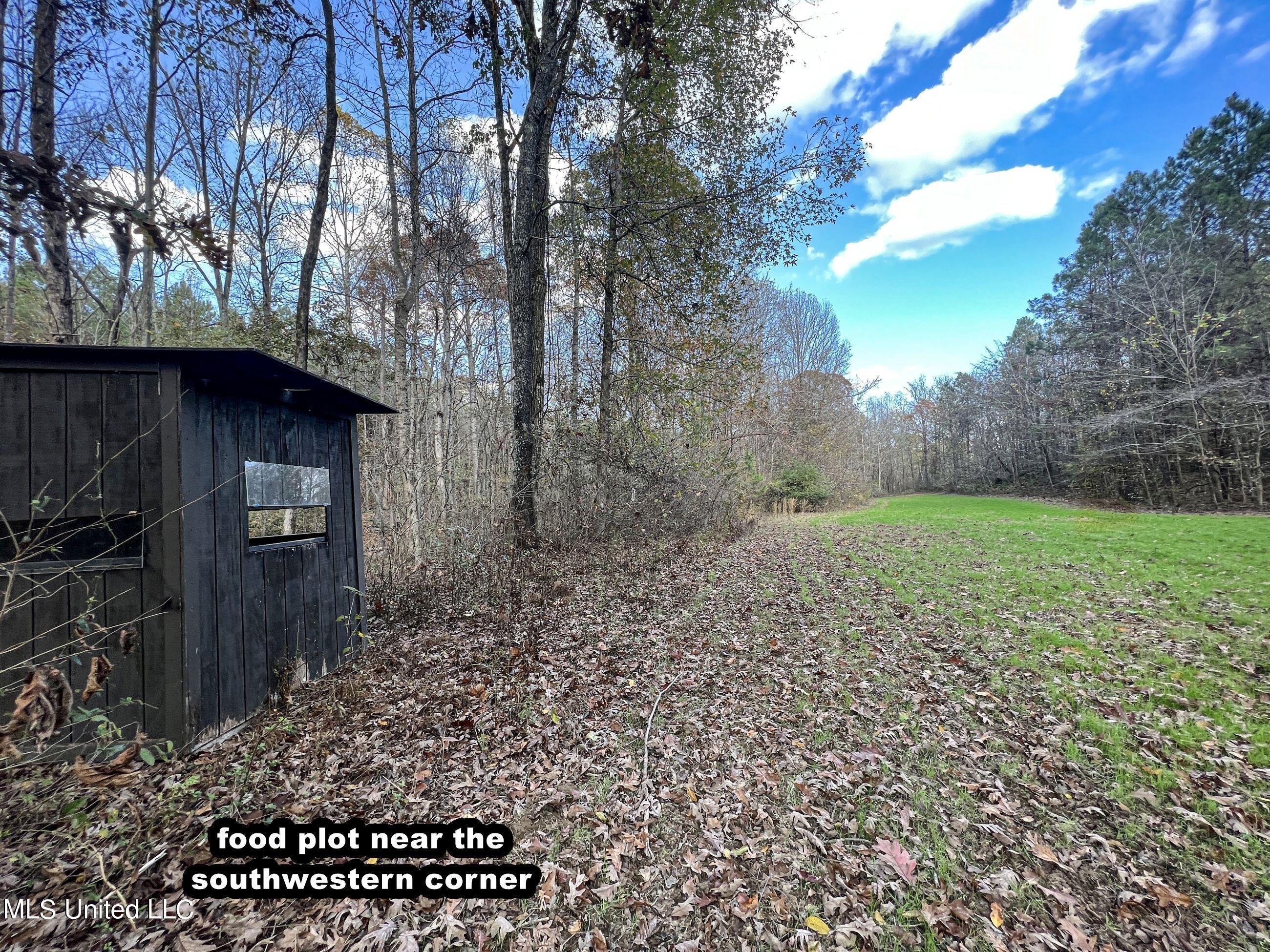 1242 A Rock Hill Road Como, MS 38619 - Photo 29 of 151 yst82