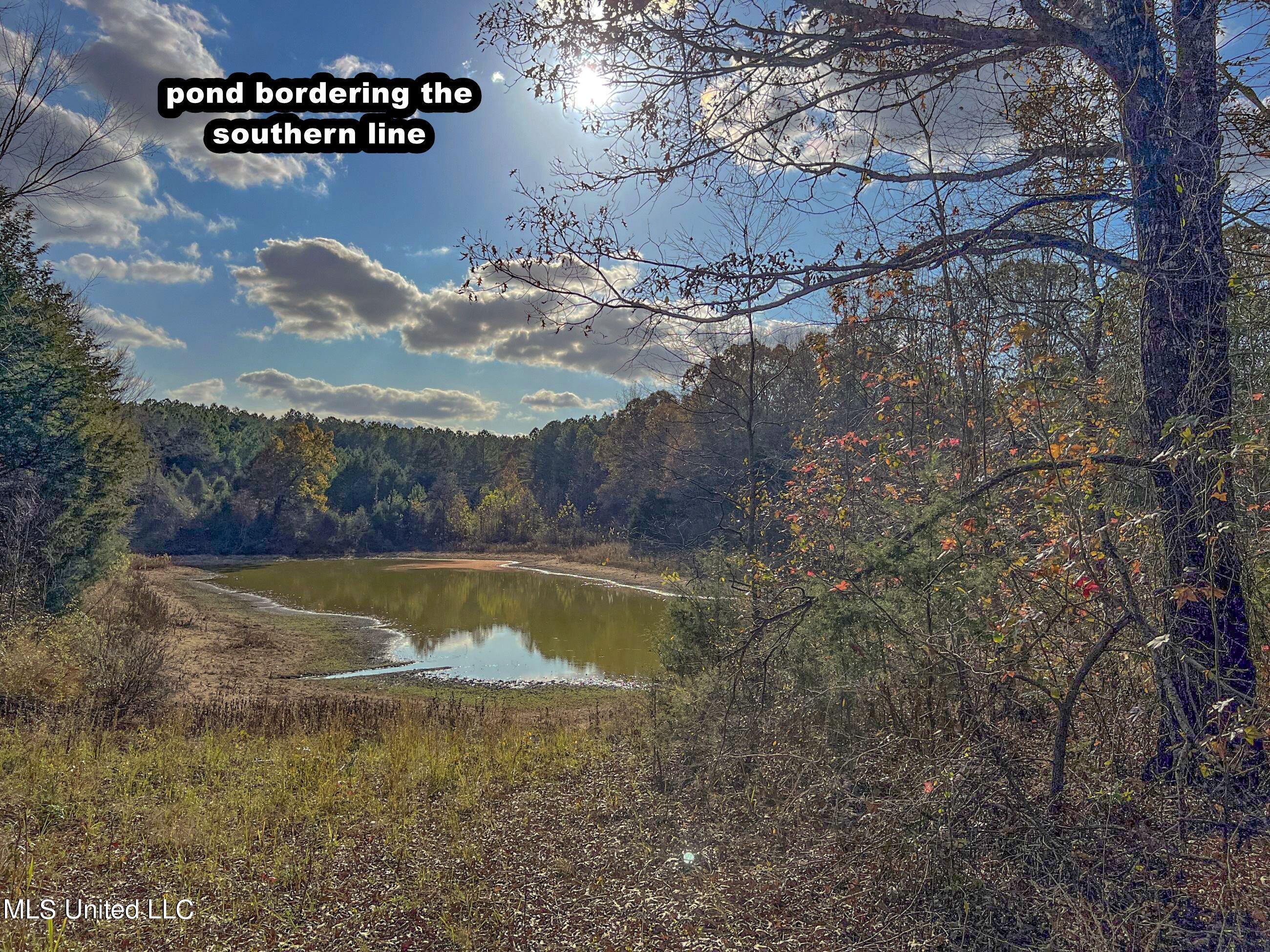 1242 A Rock Hill Road Como, MS 38619 - Photo 31 of 151 yst93