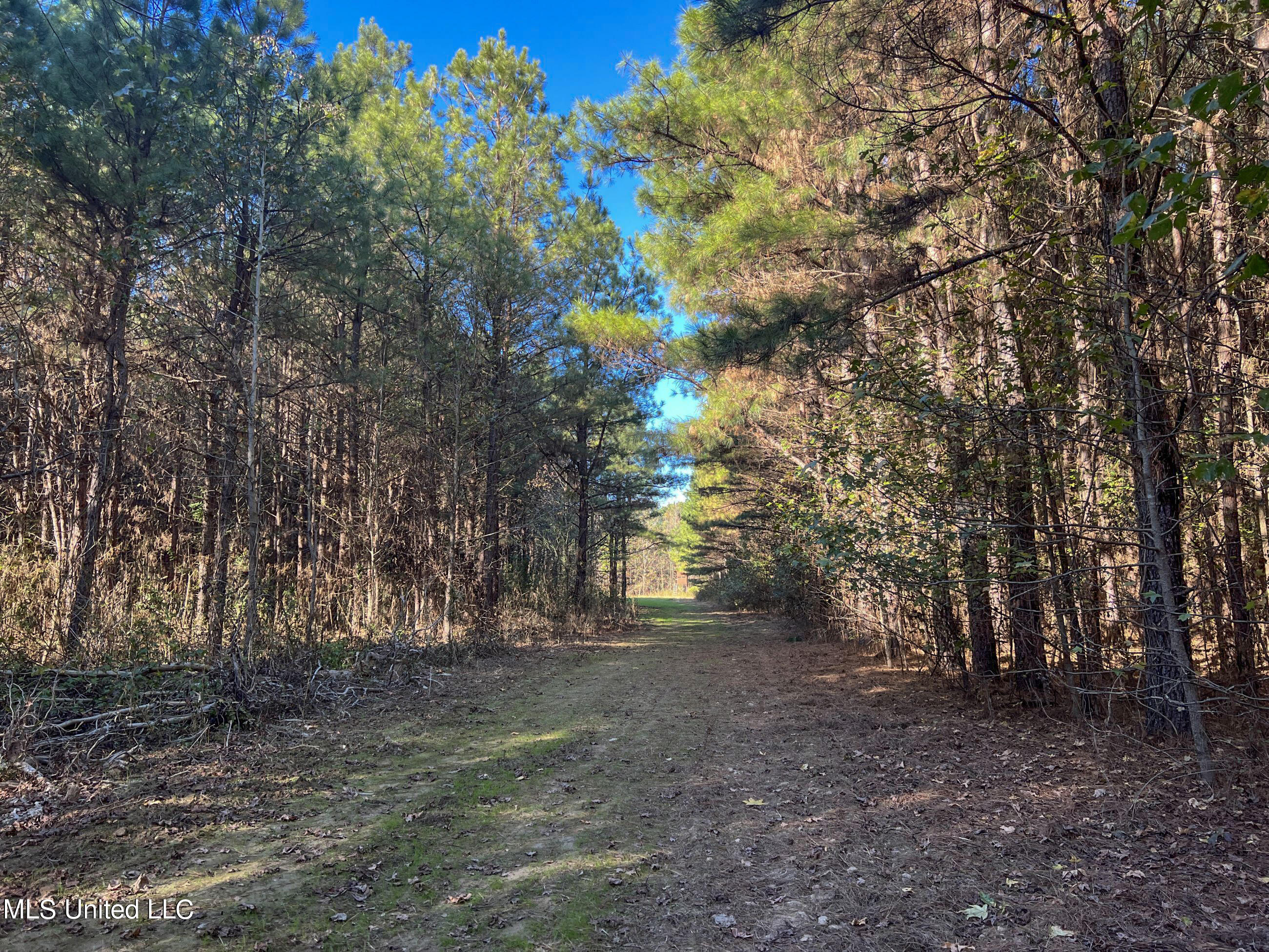 1242 A Rock Hill Road Como, MS 38619 - Photo 35 of 151 yst98
