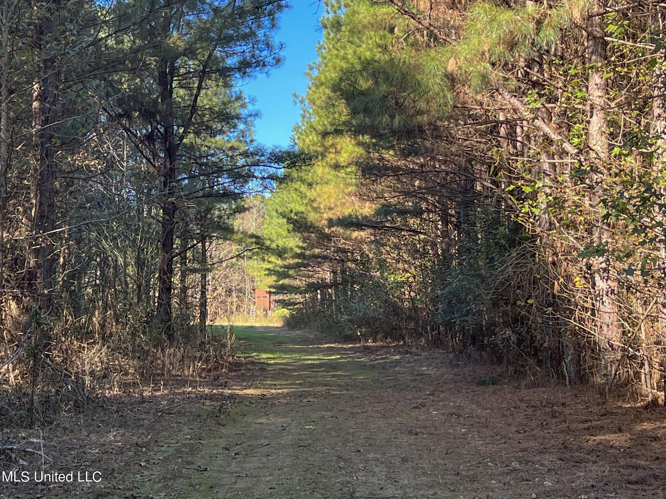 1242 A Rock Hill Road Como, MS 38619 - Photo 36 of 151 yst100