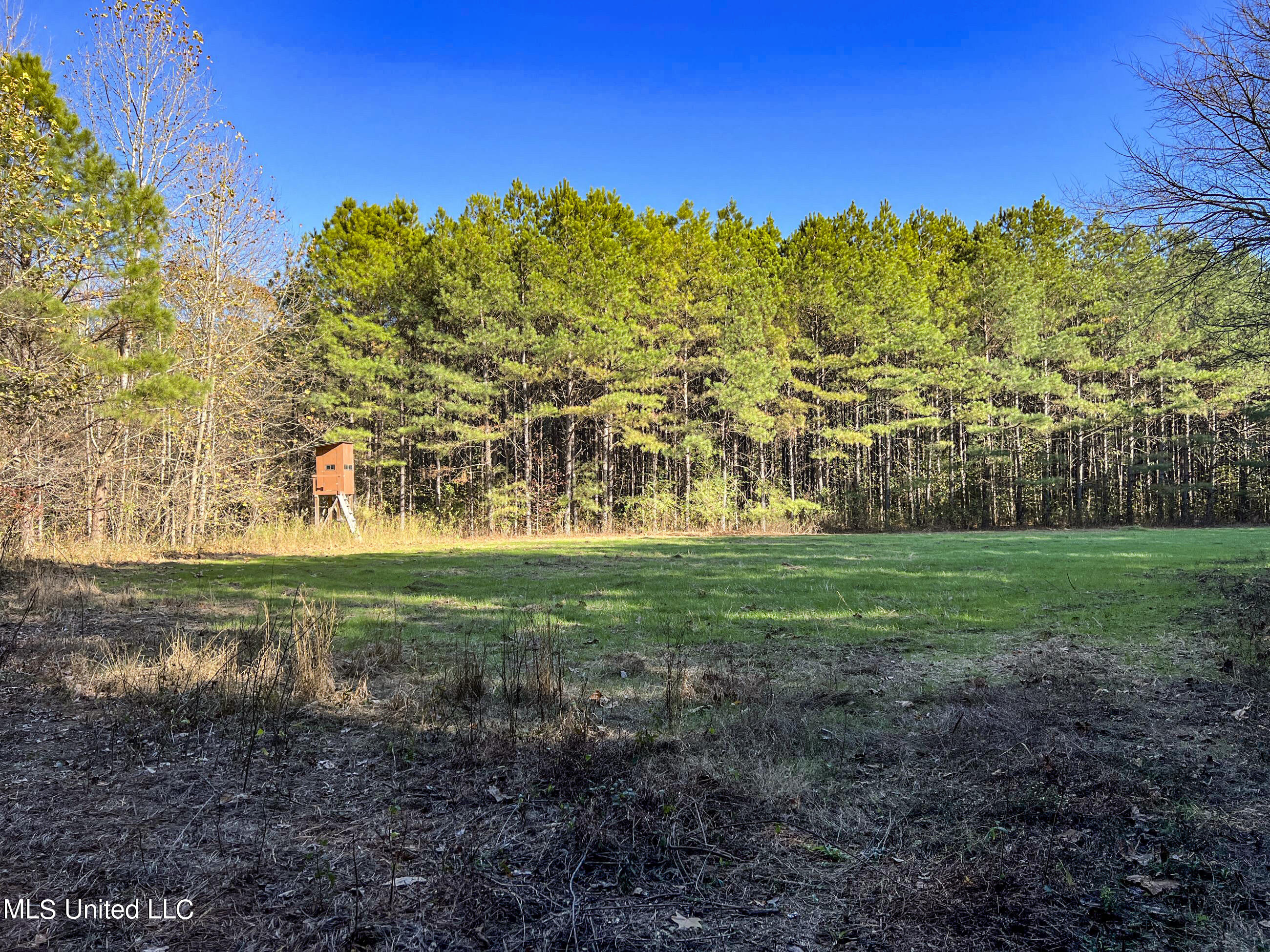 1242 A Rock Hill Road Como, MS 38619 - Photo 40 of 151 yst112