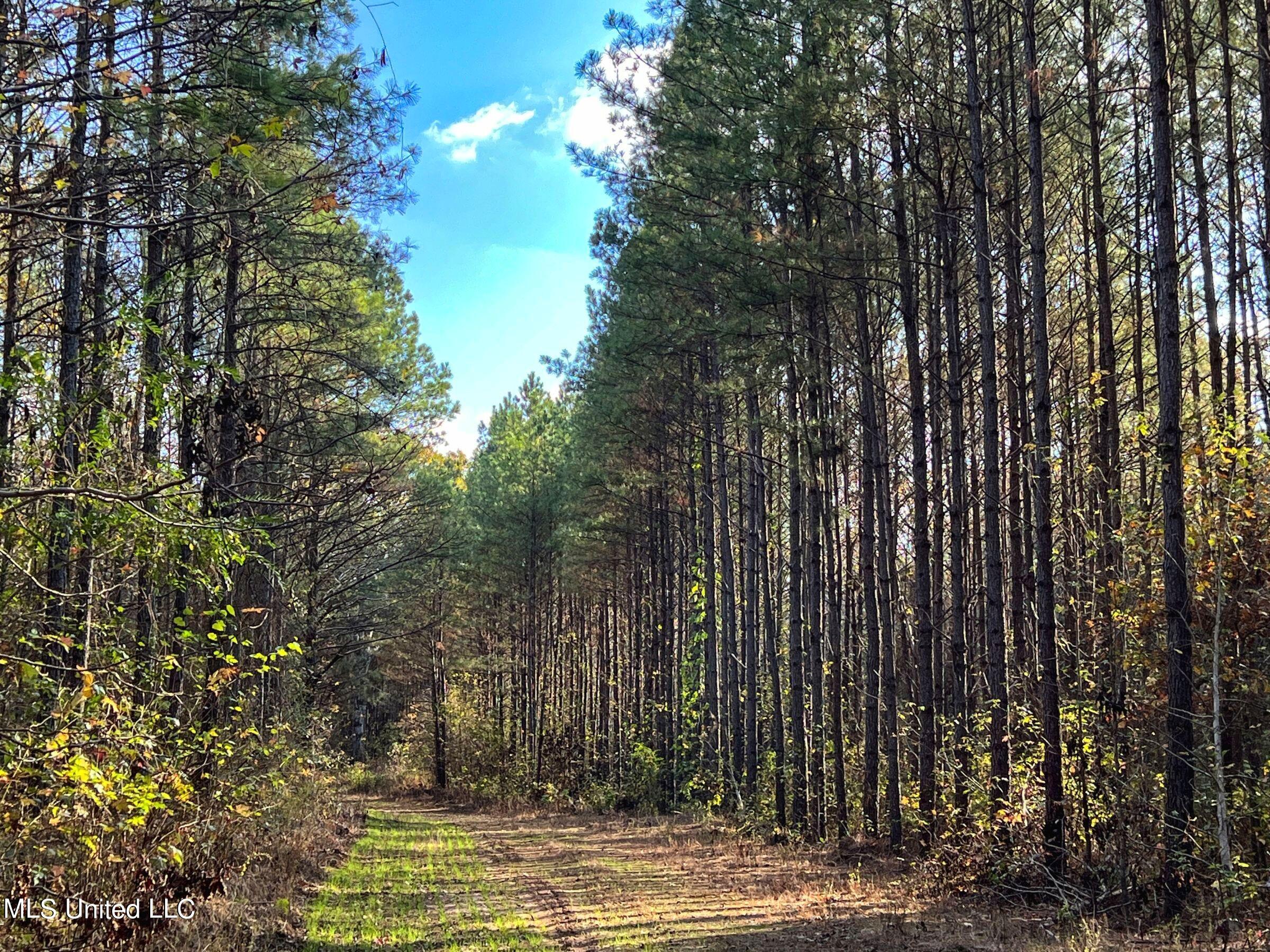 1242 A Rock Hill Road Como, MS 38619 - Photo 41 of 151 yst129b