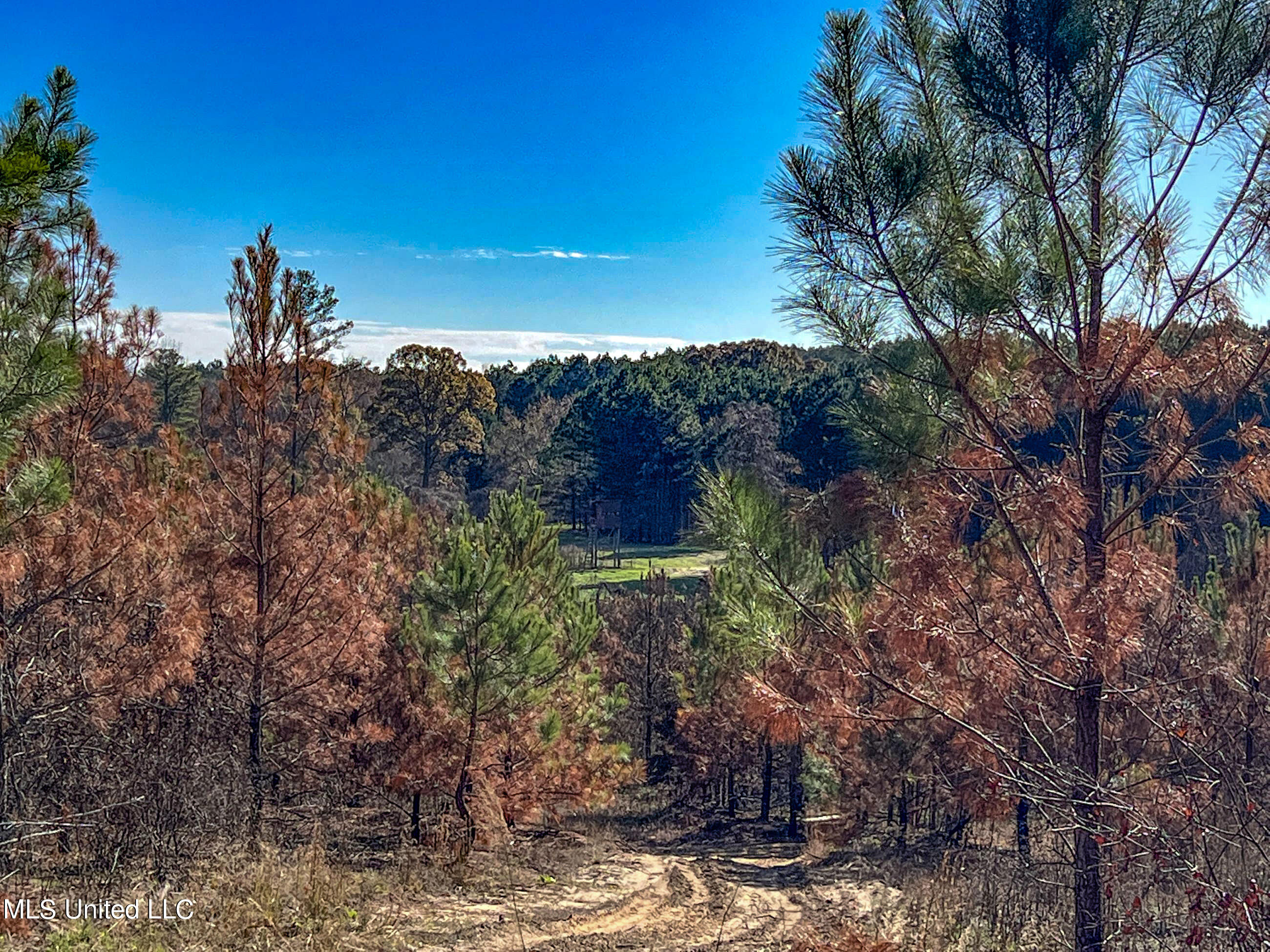 1242 A Rock Hill Road Como, MS 38619 - Photo 42 of 151 yst134.1