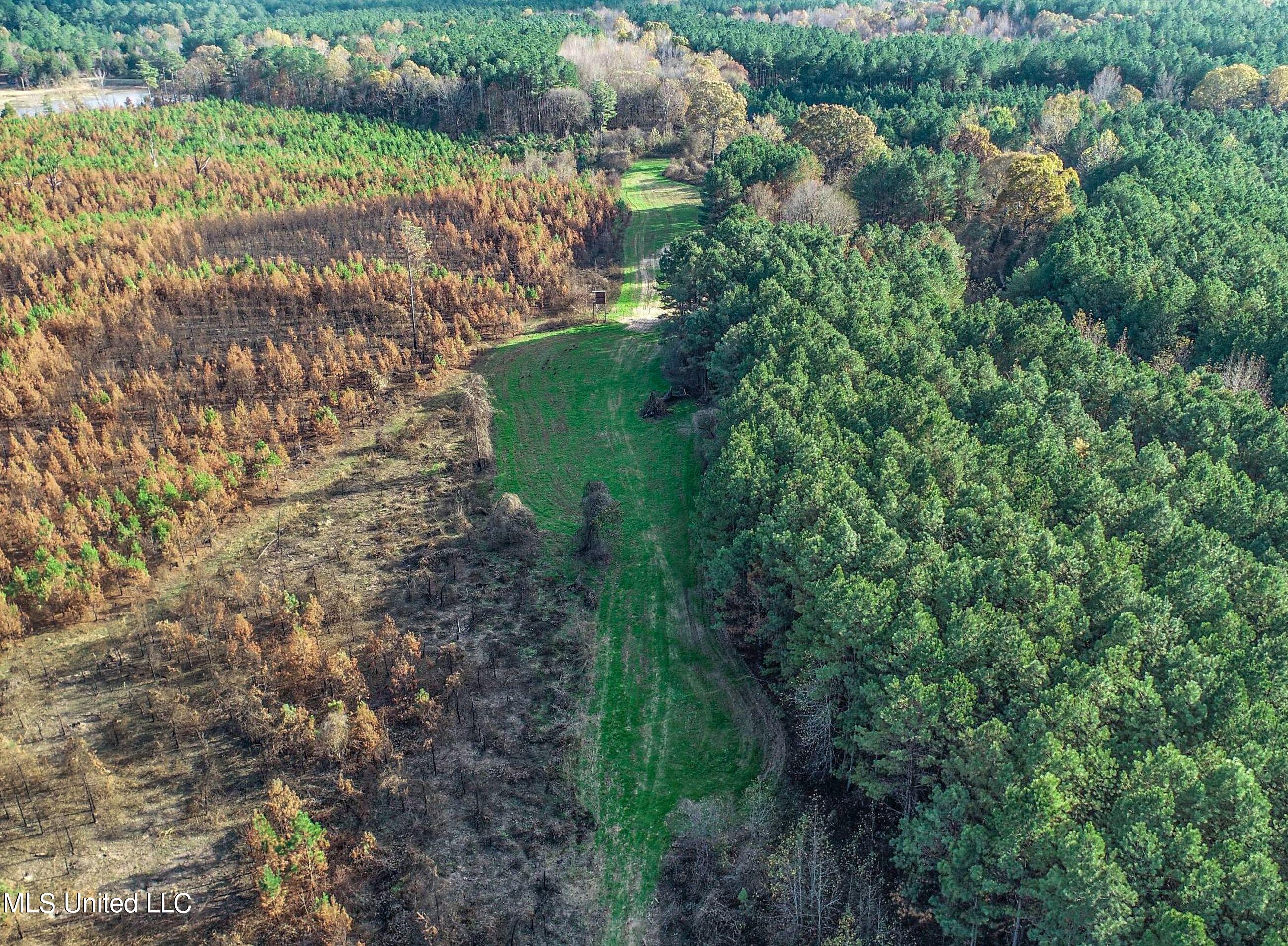 1242 A Rock Hill Road Como, MS 38619 - Photo 43 of 151 yst134.2