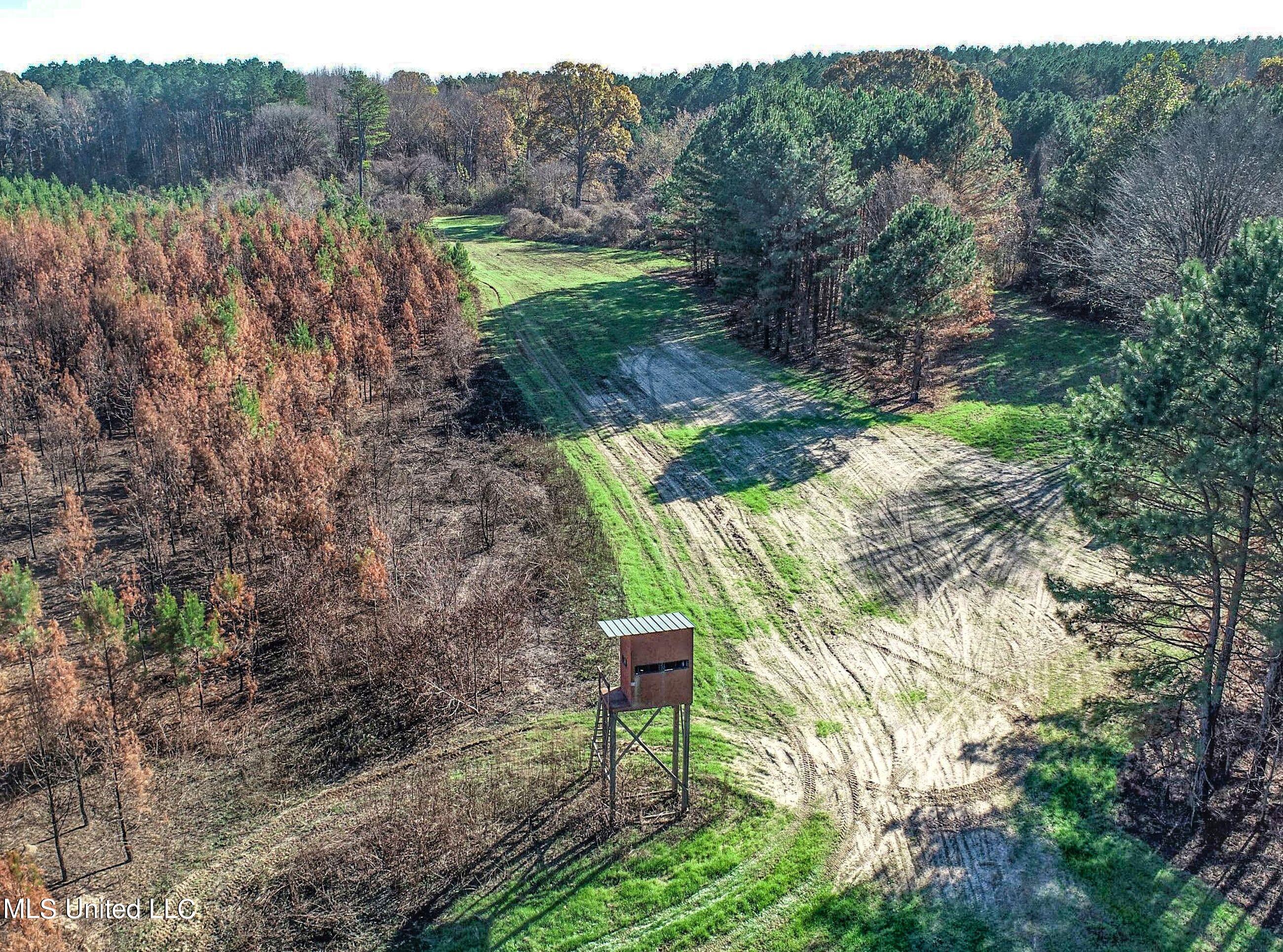 1242 A Rock Hill Road Como, MS 38619 - Photo 44 of 151 yst134.5