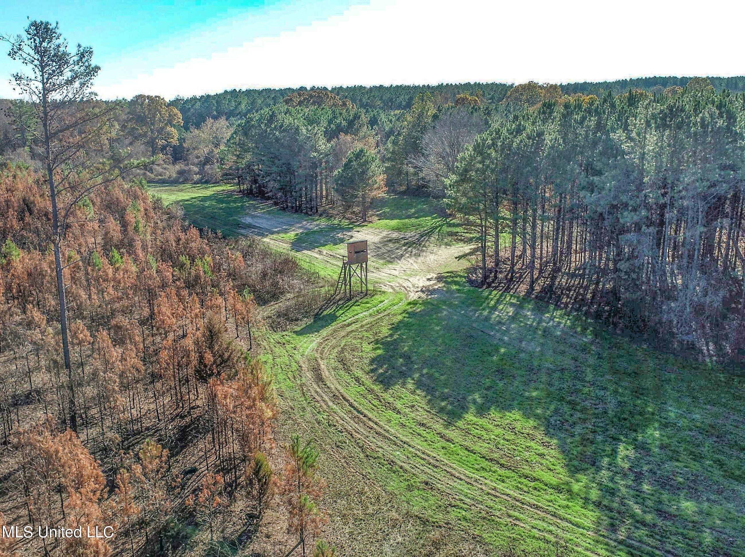1242 A Rock Hill Road Como, MS 38619 - Photo 45 of 151 yst134.7