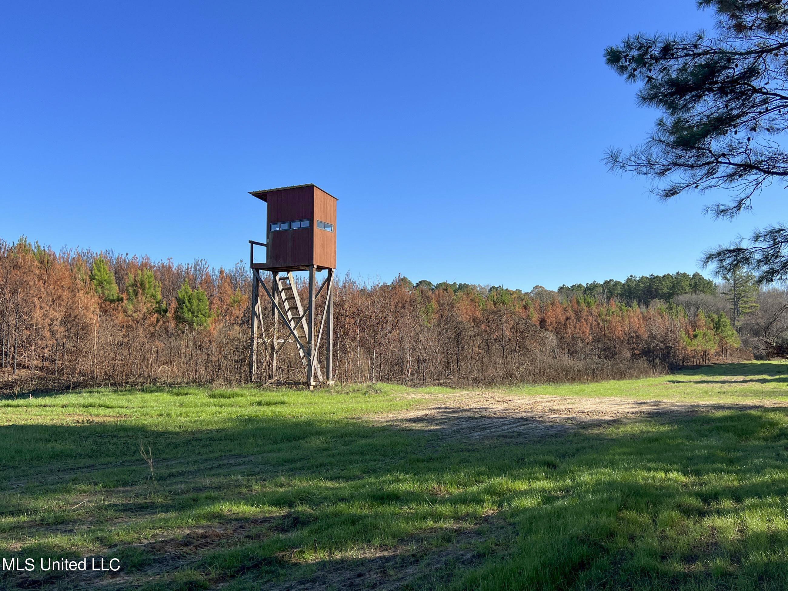 1242 A Rock Hill Road Como, MS 38619 - Photo 47 of 151 yst135