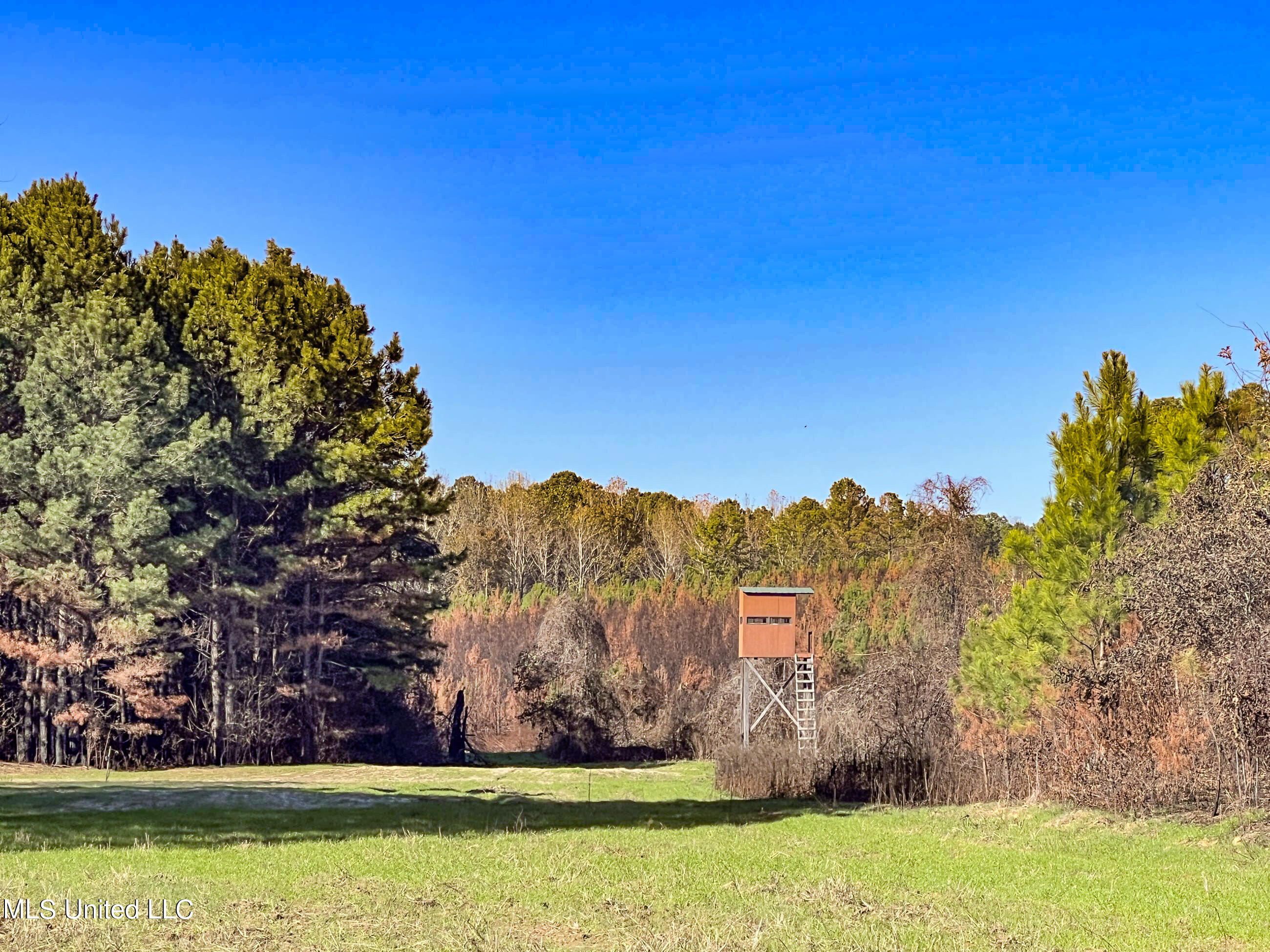 1242 A Rock Hill Road Como, MS 38619 - Photo 48 of 151 yst142