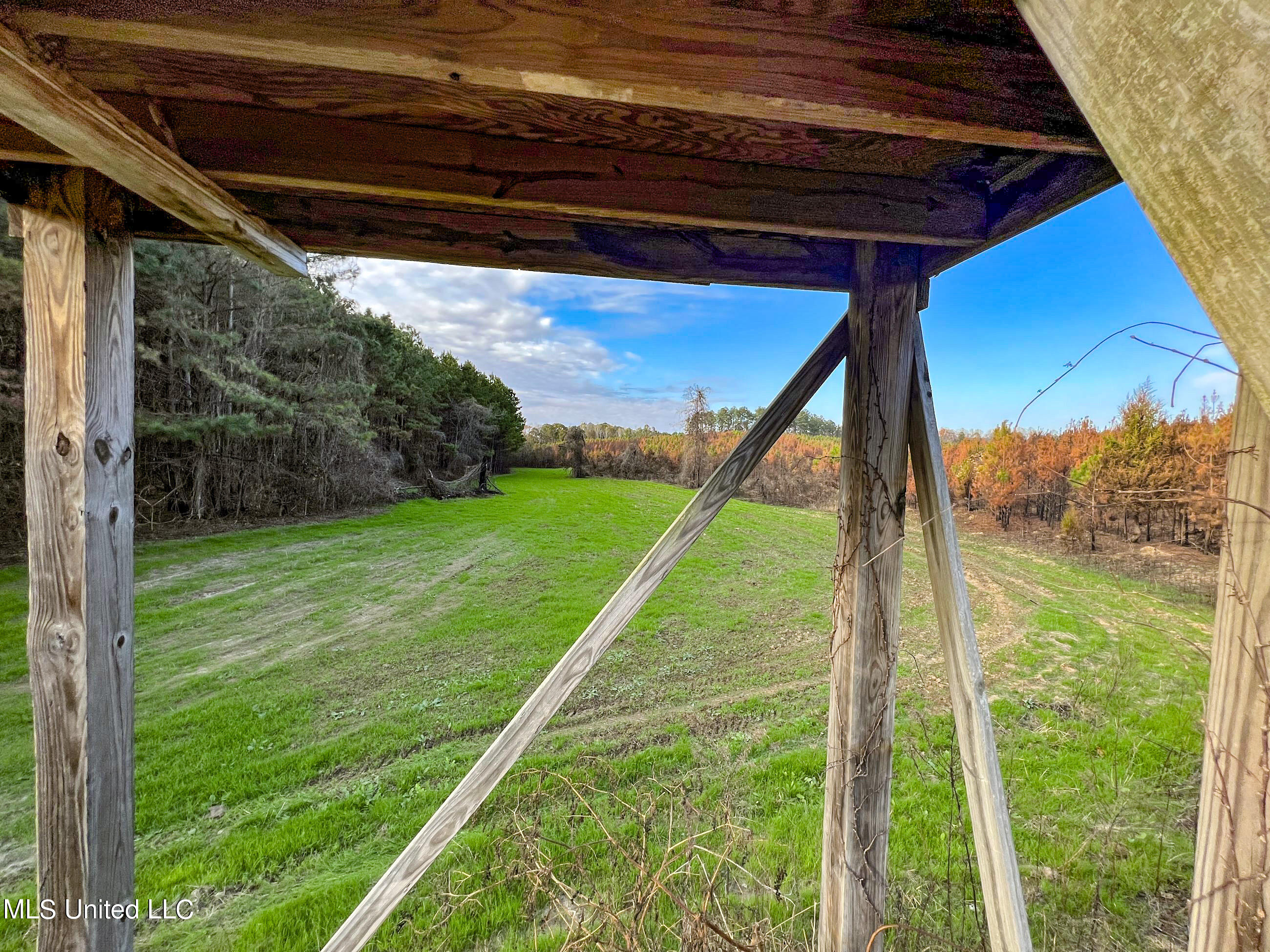 1242 A Rock Hill Road Como, MS 38619 - Photo 50 of 151 yst145