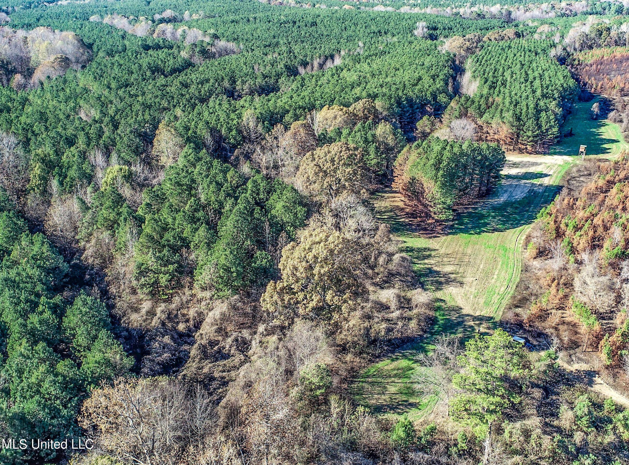 1242 A Rock Hill Road Como, MS 38619 - Photo 53 of 151 yst154.2