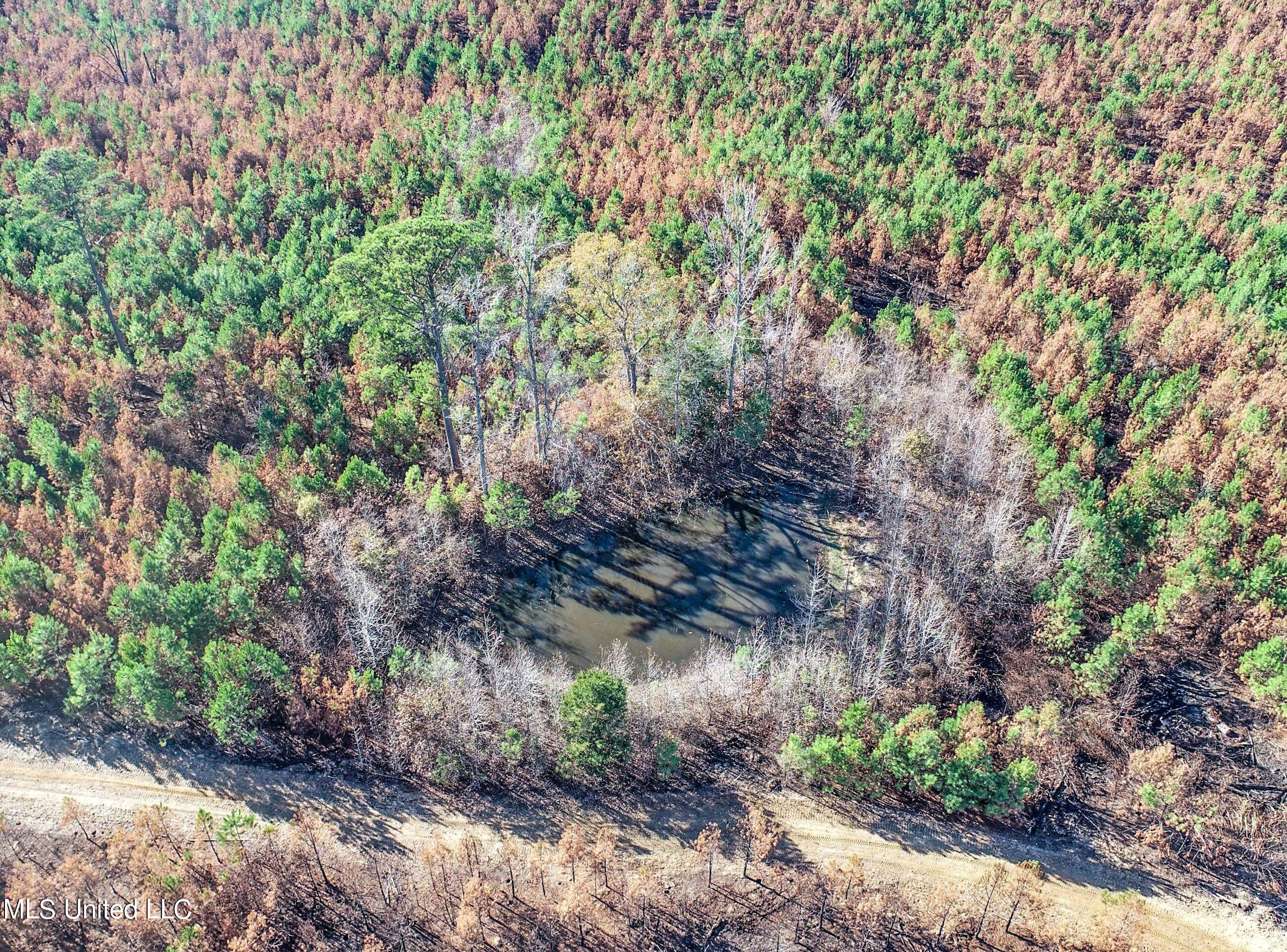 1242 A Rock Hill Road Como, MS 38619 - Photo 55 of 151 yst154.5