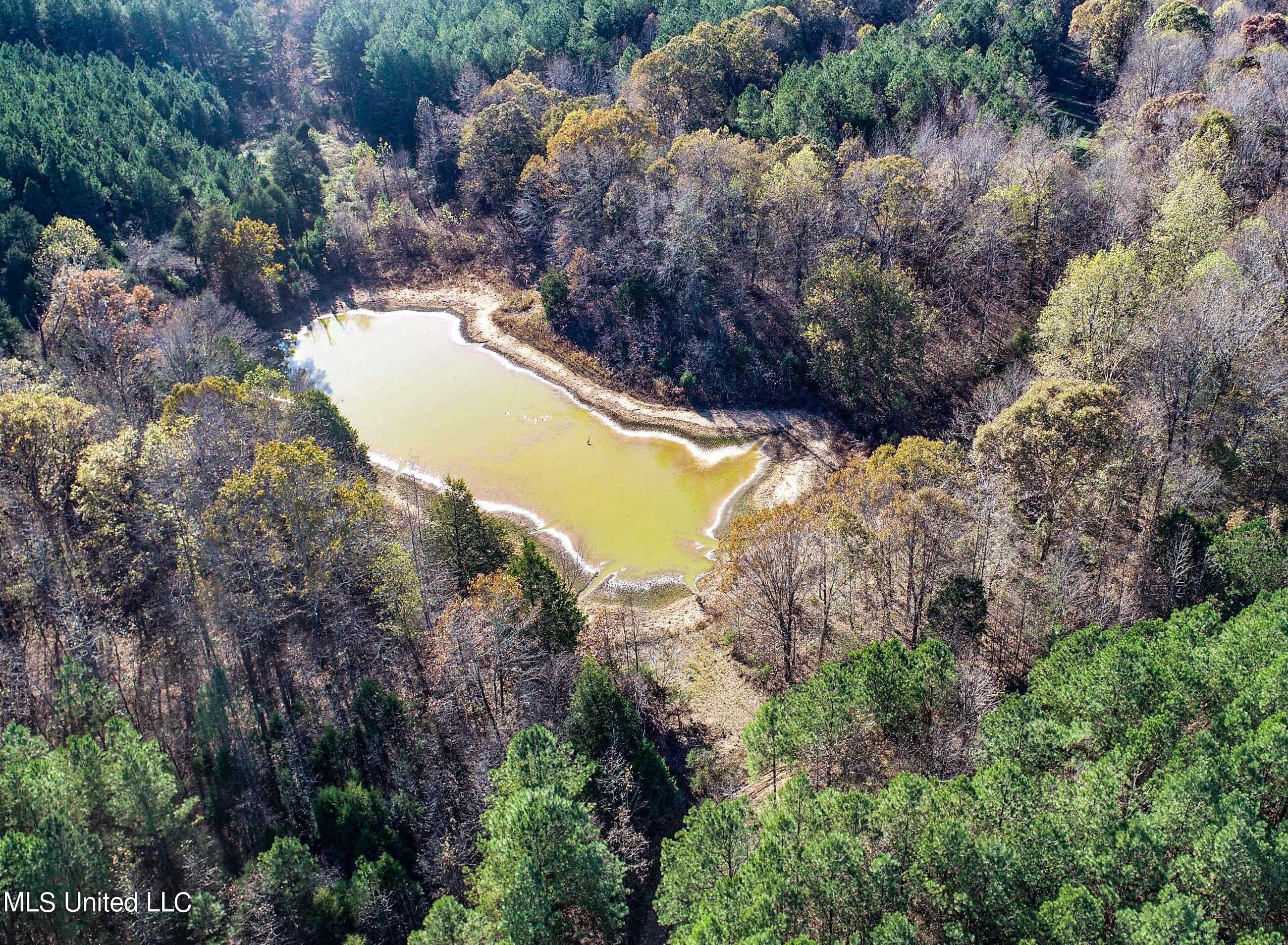1242 A Rock Hill Road Como, MS 38619 - Photo 56 of 151 yst154.7